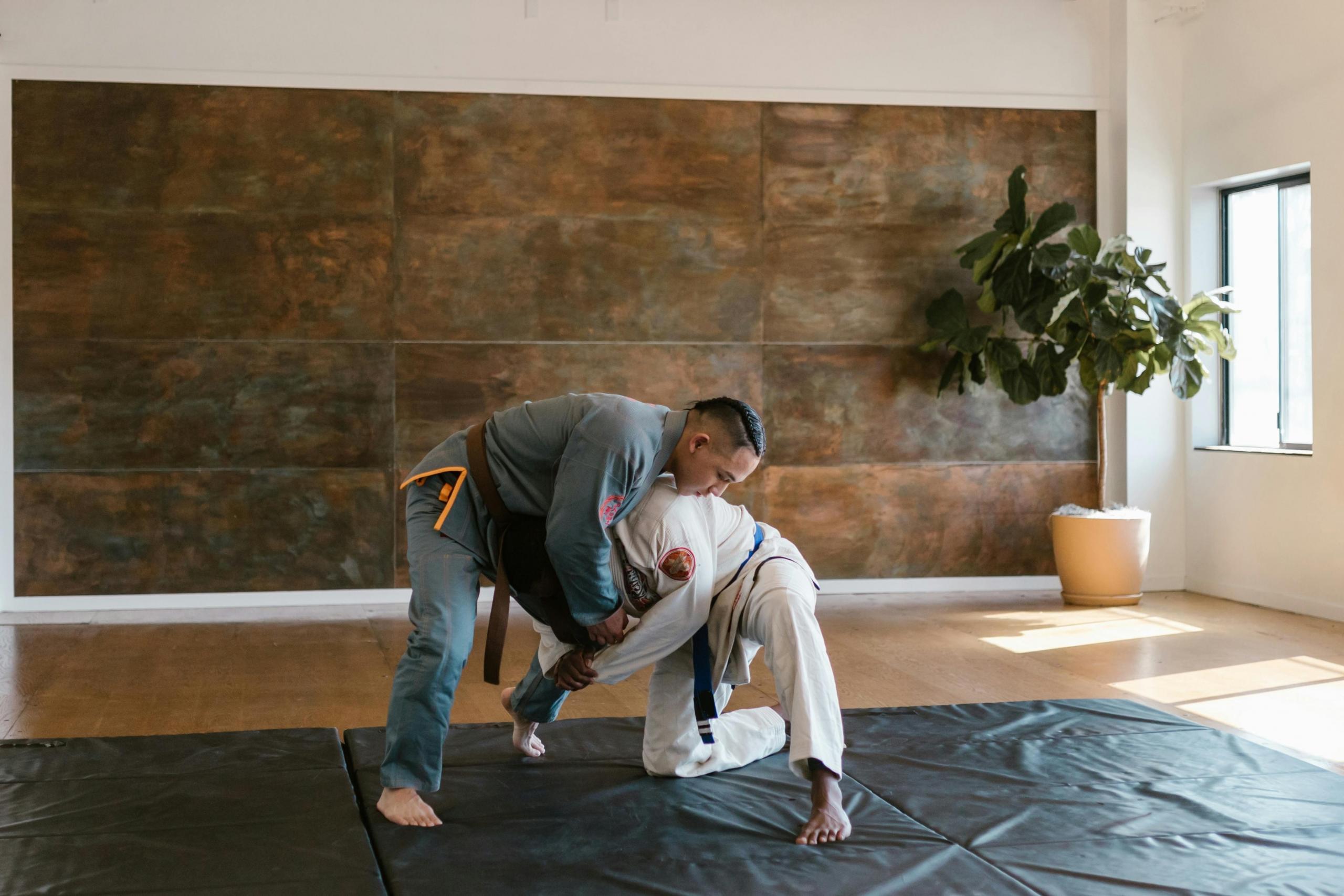 A Judo practitioner in a gray gi applies a headlock to his opponent, who is wearing a white gi, during a training session on black mats. The scene takes place in a well-lit room with a wooden floor and a large plant in the background, creating a calm and focused training environment.
