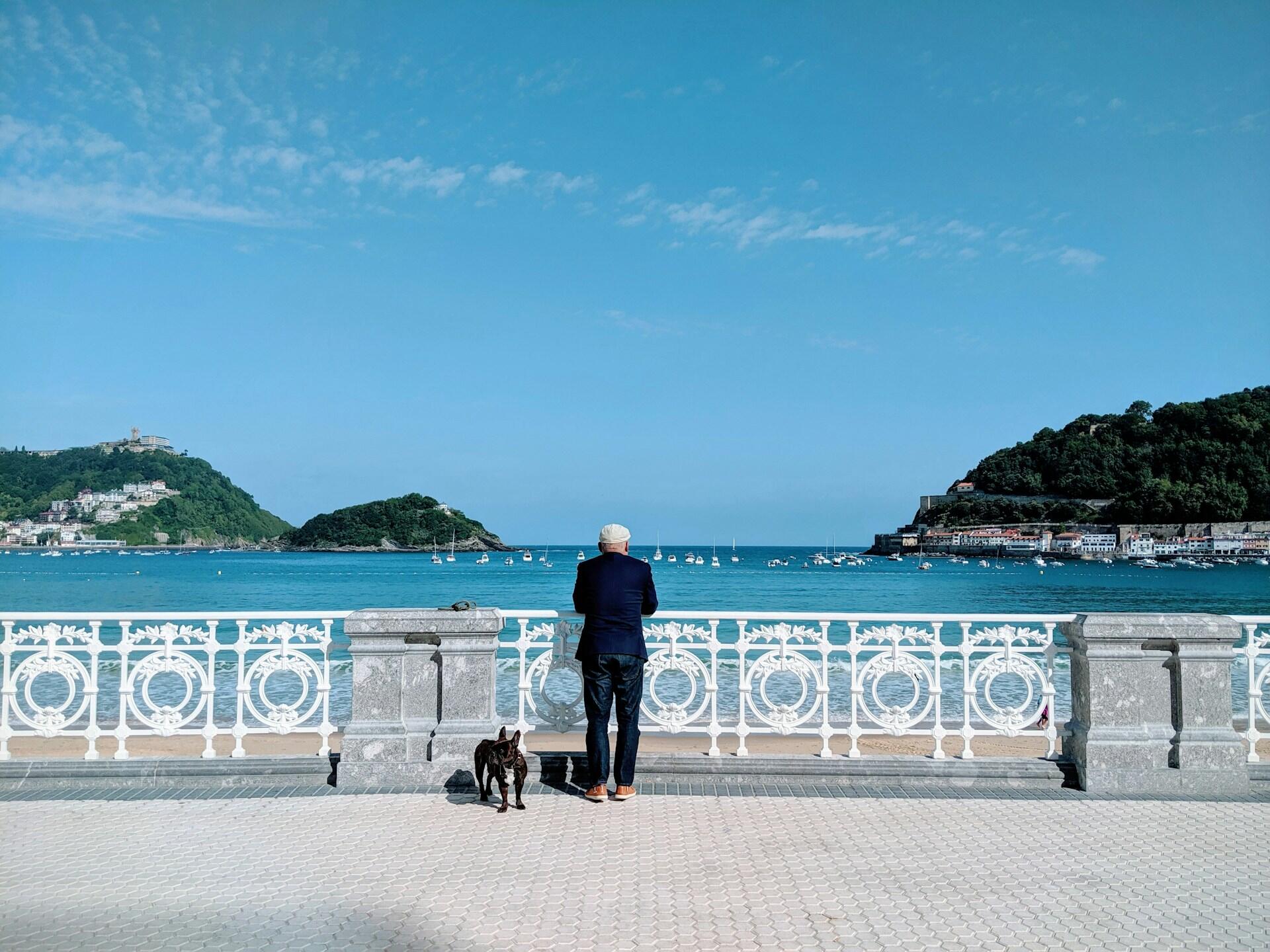 A man and his dog stand on a waterfront promenade, gazing at a scenic bay with islands and boats under a clear blue sky.