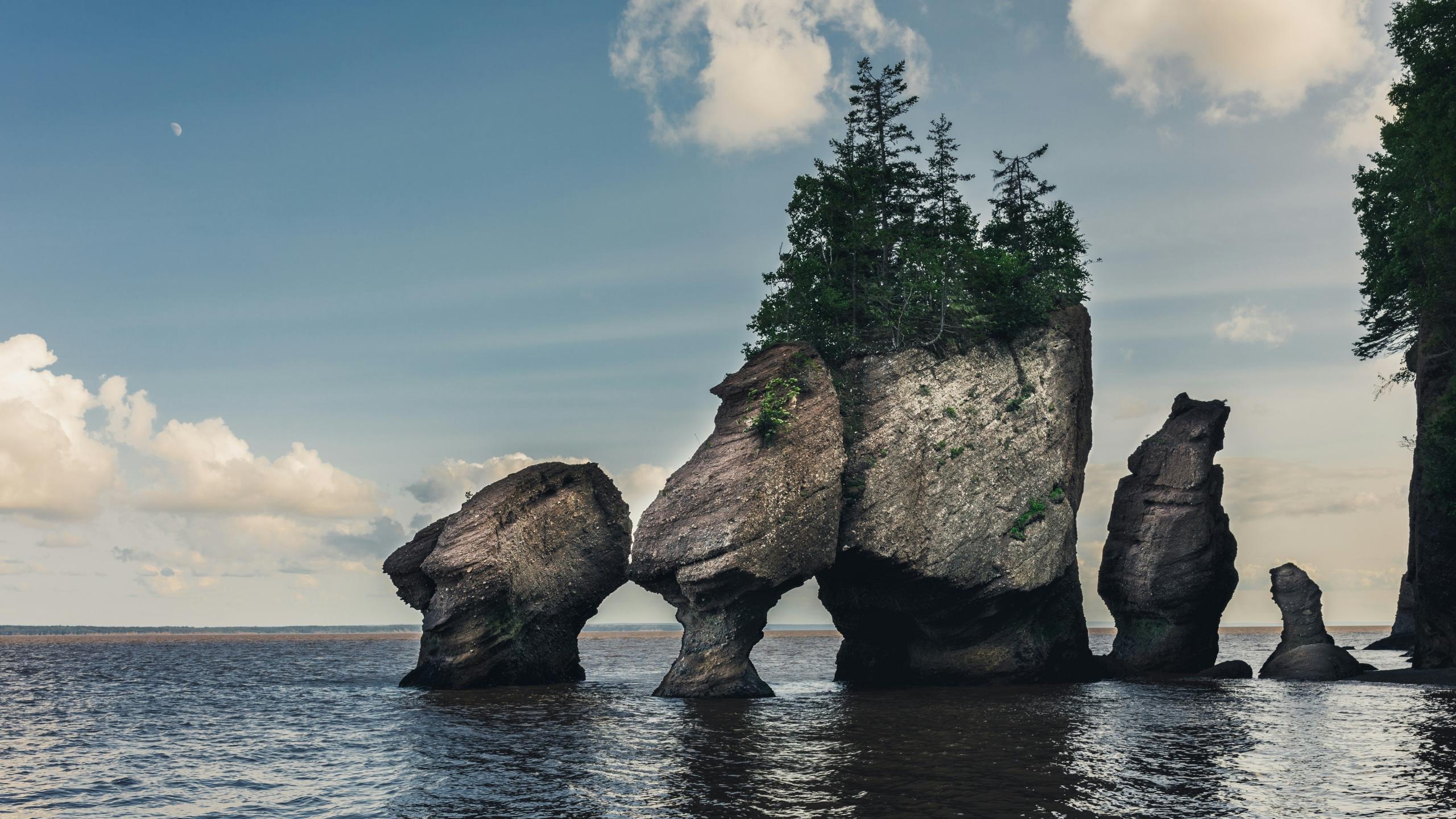Unique rock formations rise from the water at the Bay of Fundy, with the largest topped by a small cluster of trees. The rock structures, shaped by erosion, stand prominently against a backdrop of calm water and a clear blue sky with a few scattered clouds.