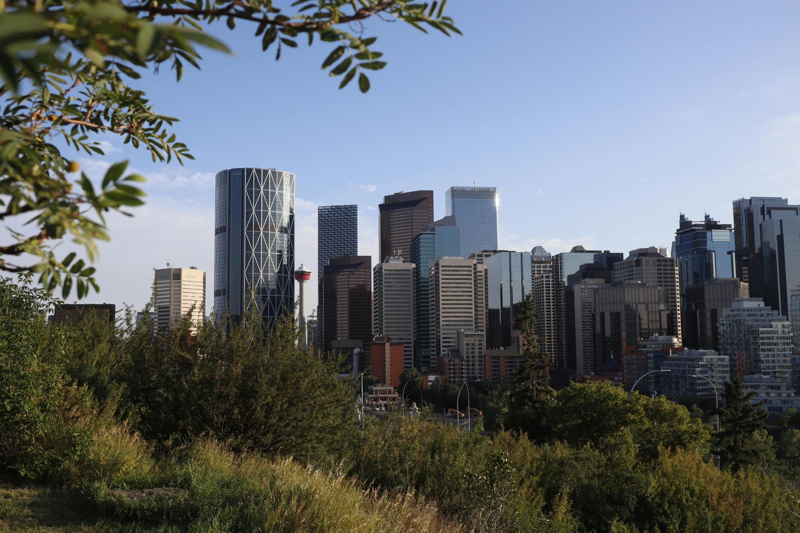 a photo of Calgary's skyline taken from a city park. The sky is clear and trees and grass are in the foreground.