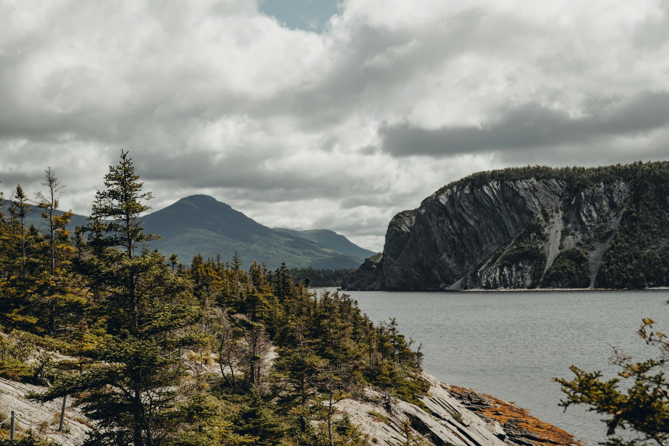 A scenic view of Gros Morne National Park in Newfoundland & Labrador from Norris point, featuring green trees, a rocky shoreline, and dramatic cliffs with mountains in the background under a cloudy sky.