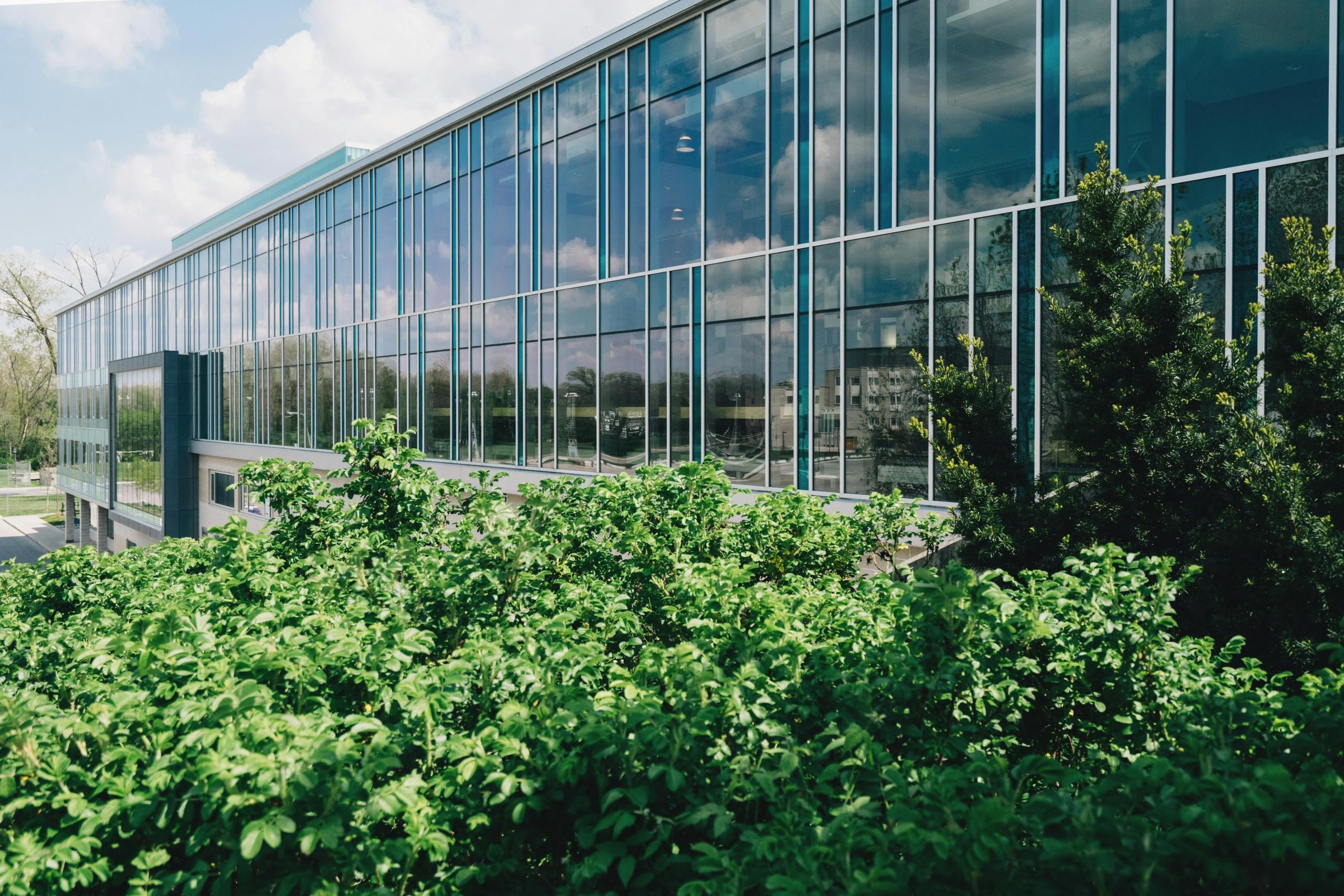 A glass building is shown with a cloudy sky overhead. Green plants cover the front lawn of the building.