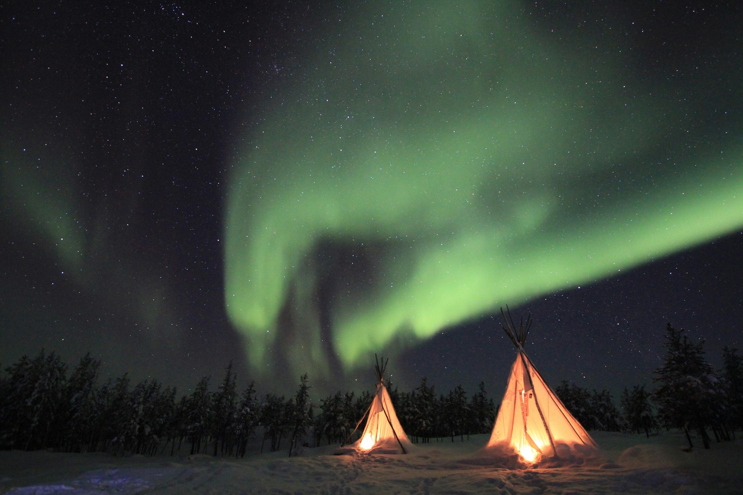 Two illuminated tents in a snowy forest under a clear night sky, with the Northern Lights (Aurora Borealis) displaying vibrant green waves above.
