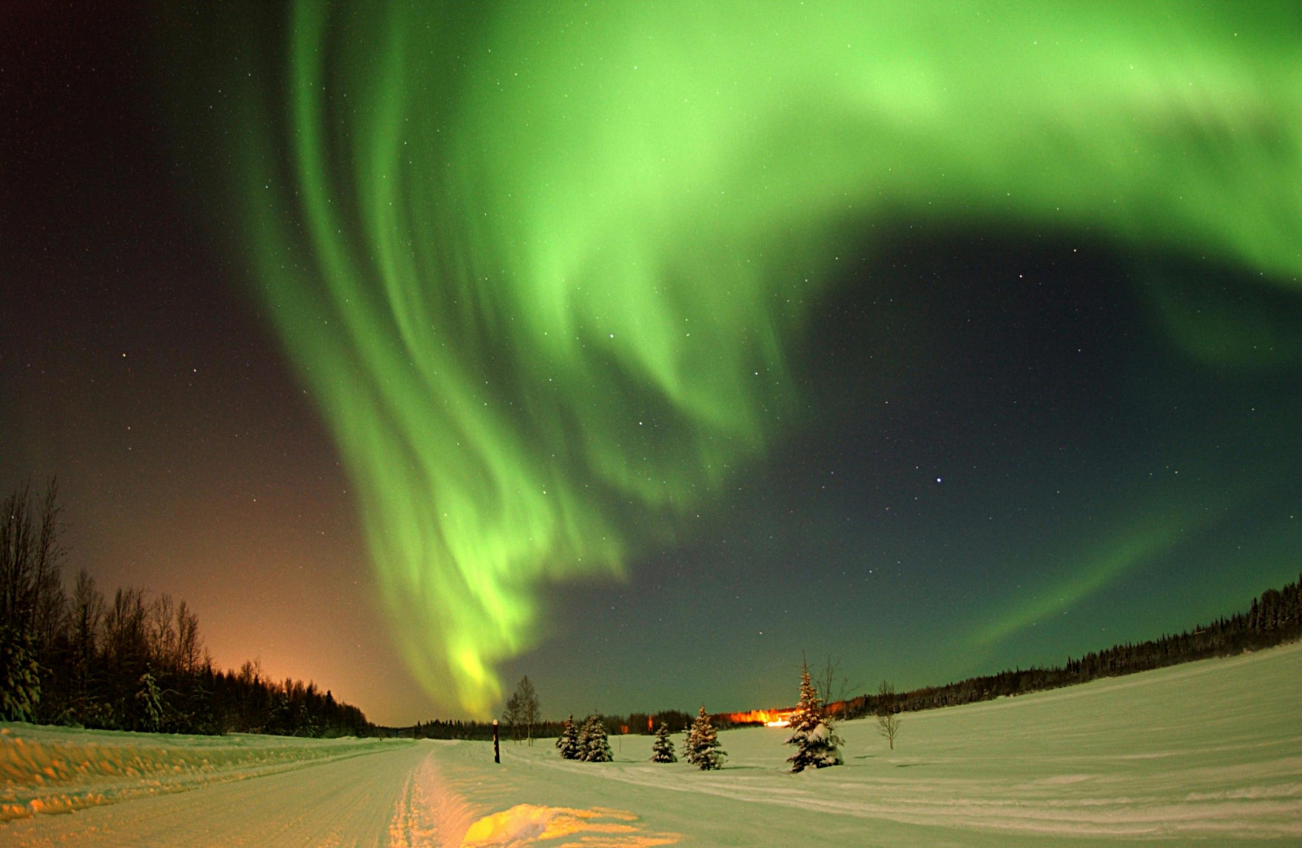 A vibrant display of the Northern Lights illuminates the night sky. The green and yellow auroras create a swirling pattern above a snow-covered road lined with small evergreen trees. The distant glow of city lights is visible on the horizon, contrasting with the dark, star-studded sky.