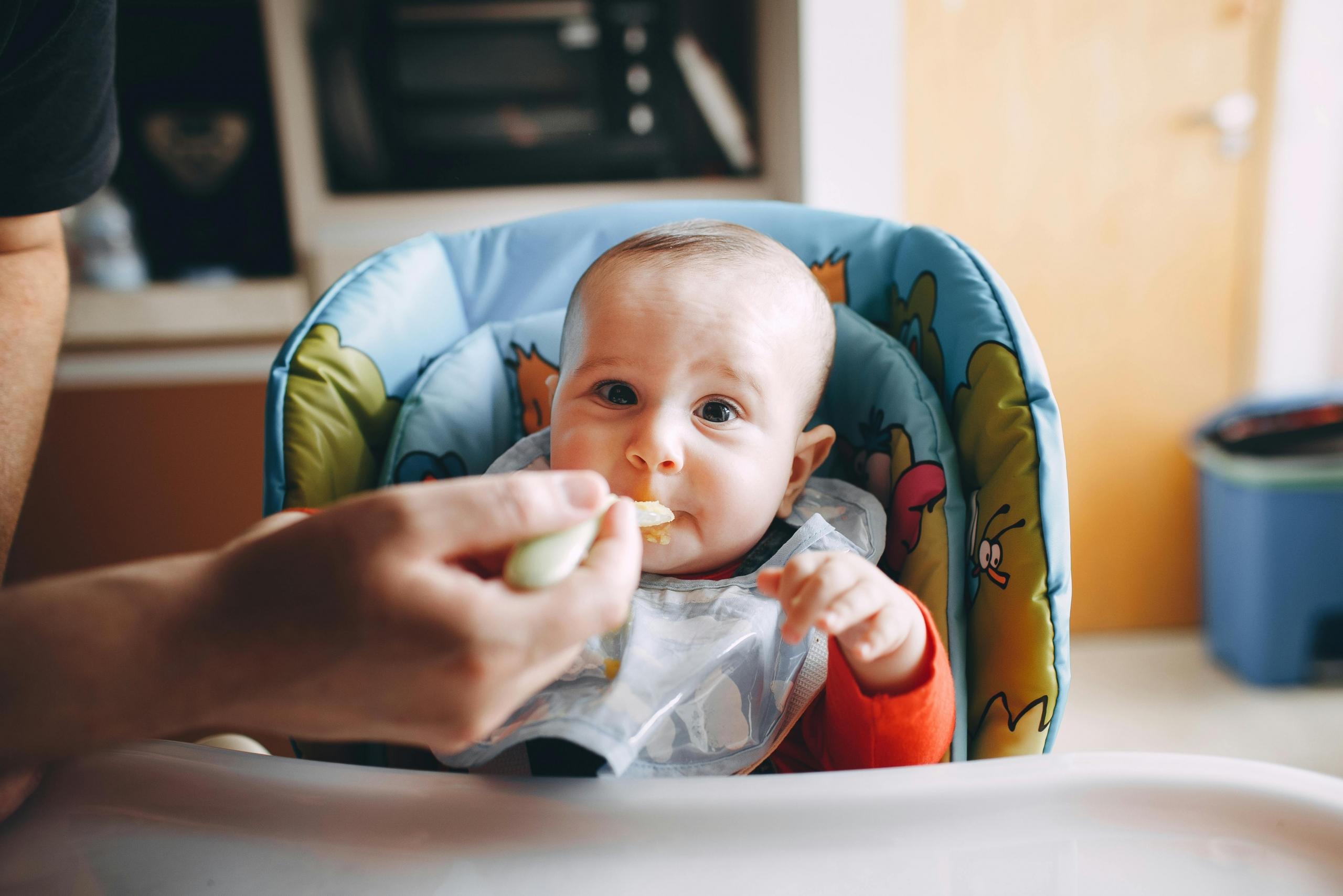 A baby sits in a high chair. An adult feeds him.
