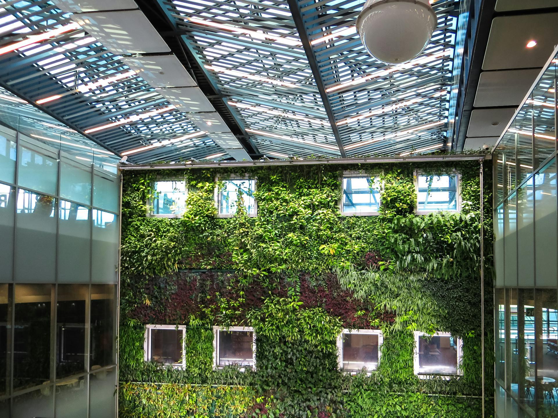 Photograph of plants growing on a green wall.