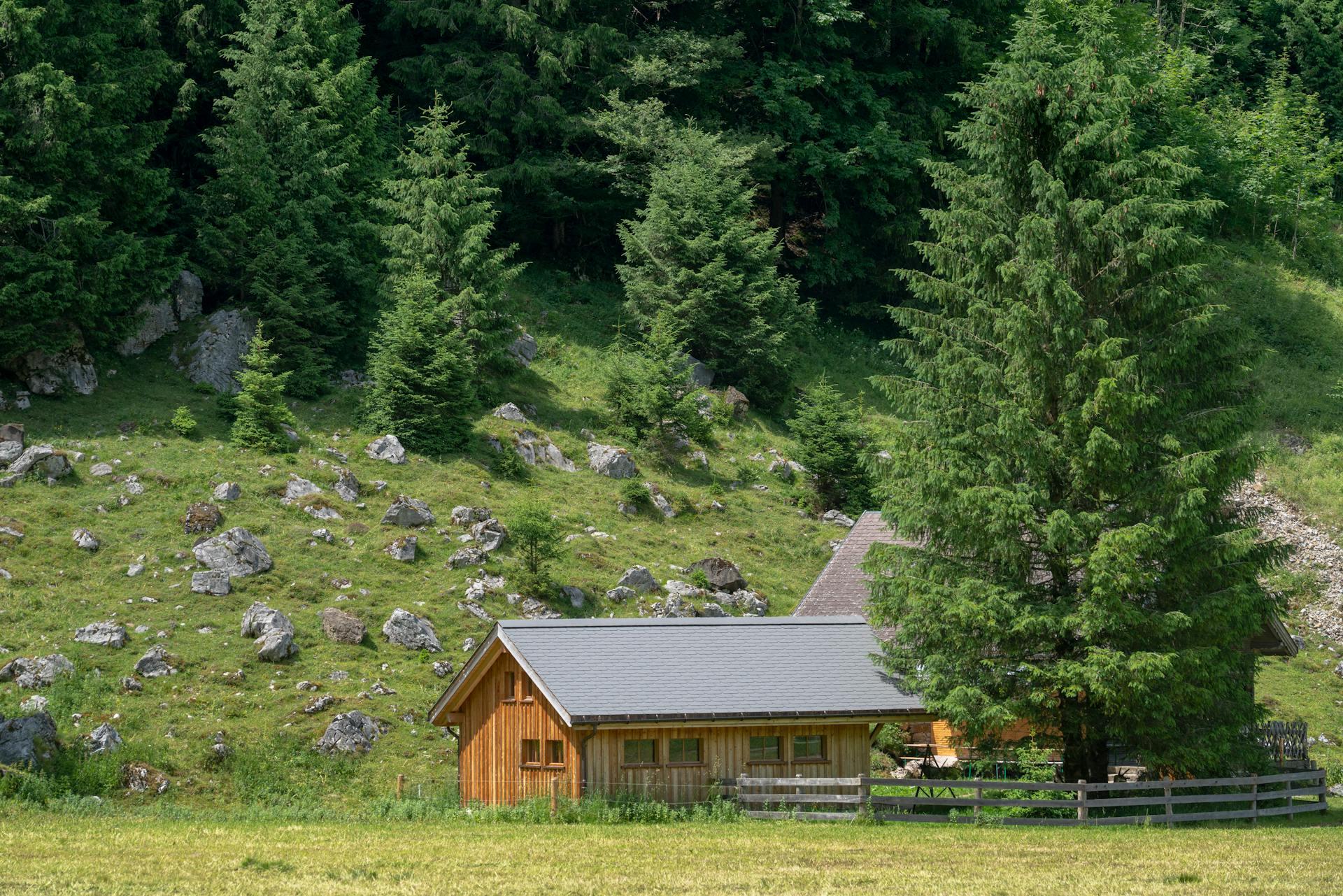 Rustic Wooden Cabin in Lush Green Forest Landscape.