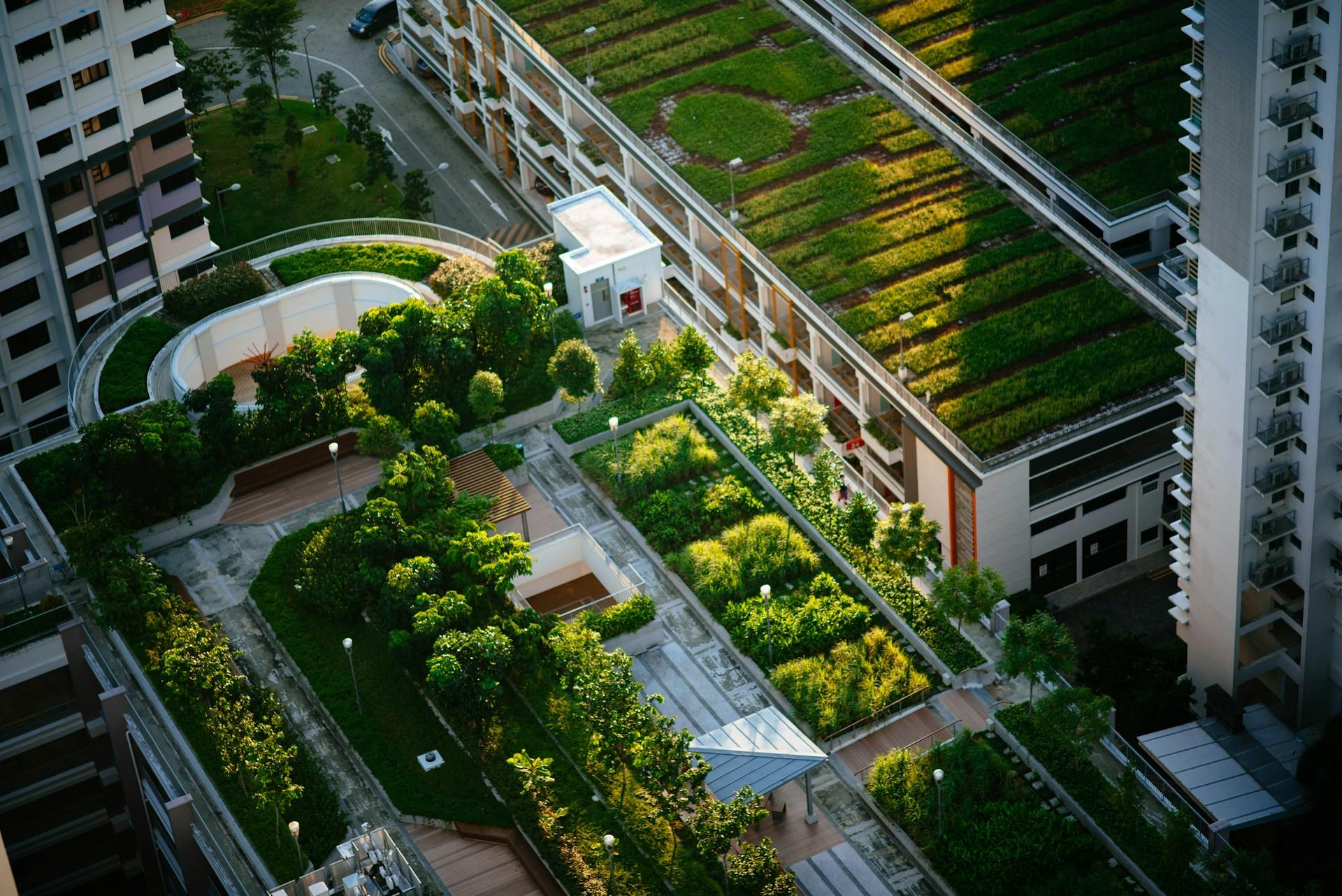 Aerial view of a lush rooftop garden amidst high-rise buildings.