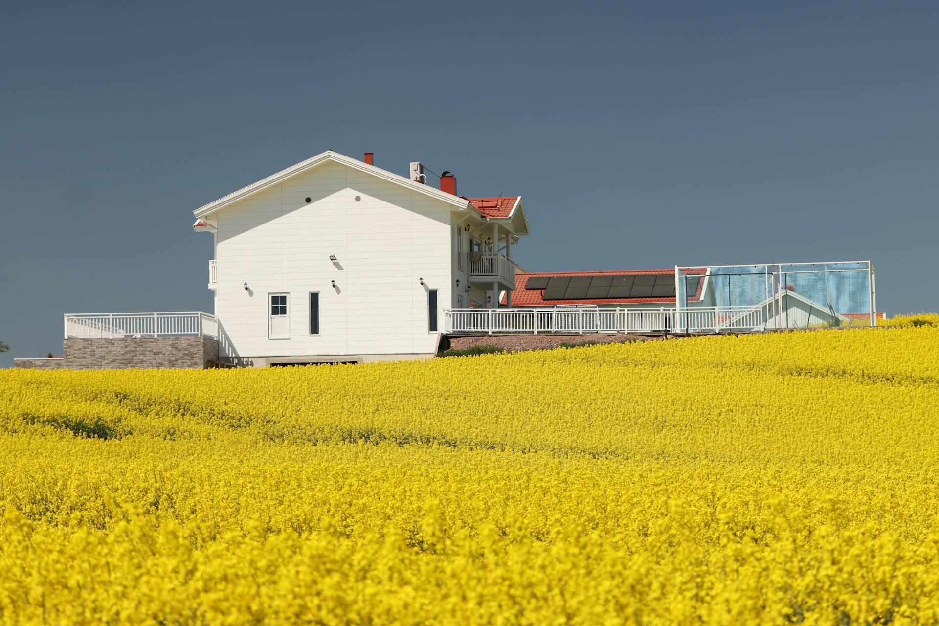 Photograph showing a passive house with solar panels on the roof located in a field of yellow flowers.