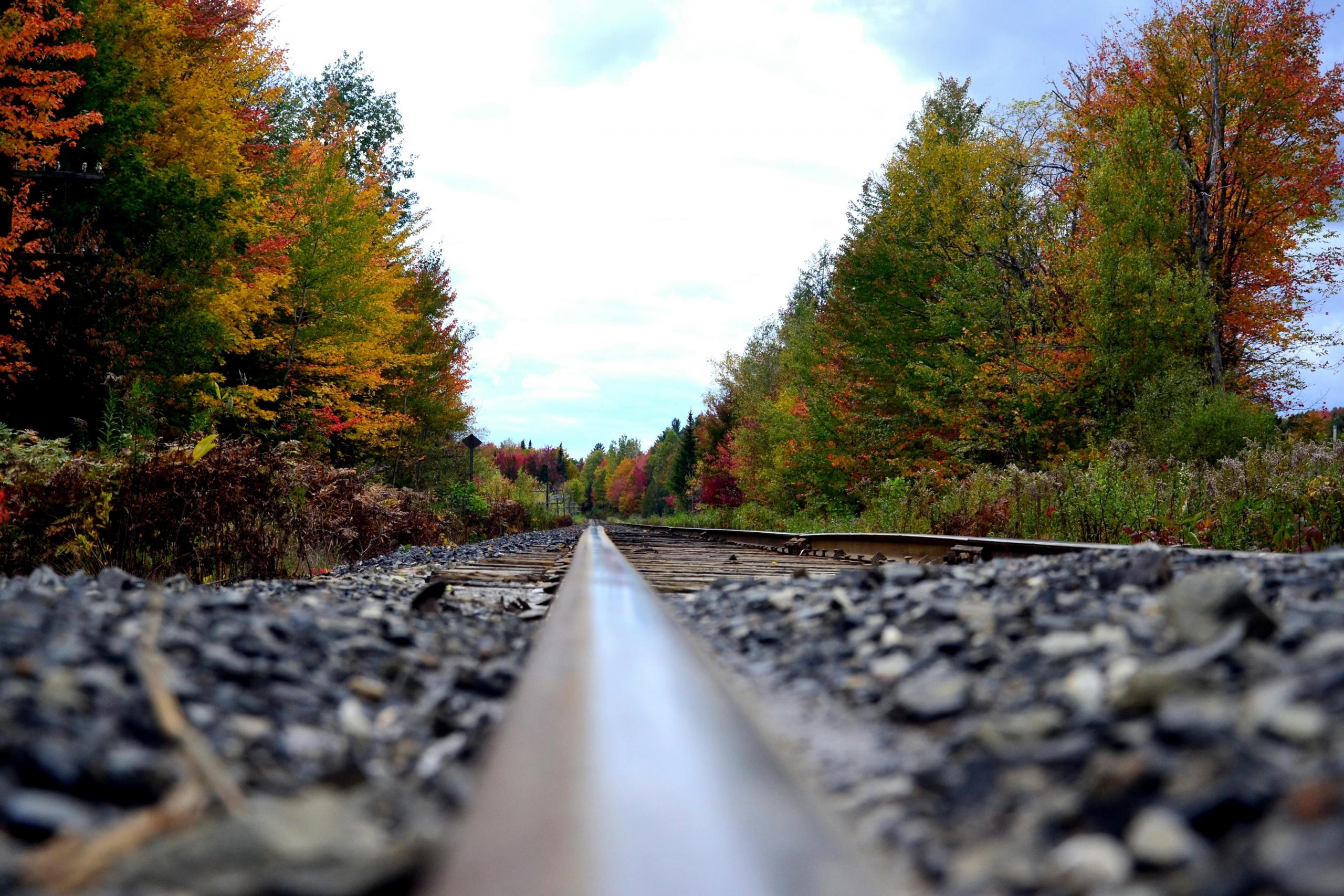 A railroad runs through a forest. The leaves are starting to turn orange and yellow. Gravel can be seen up close.