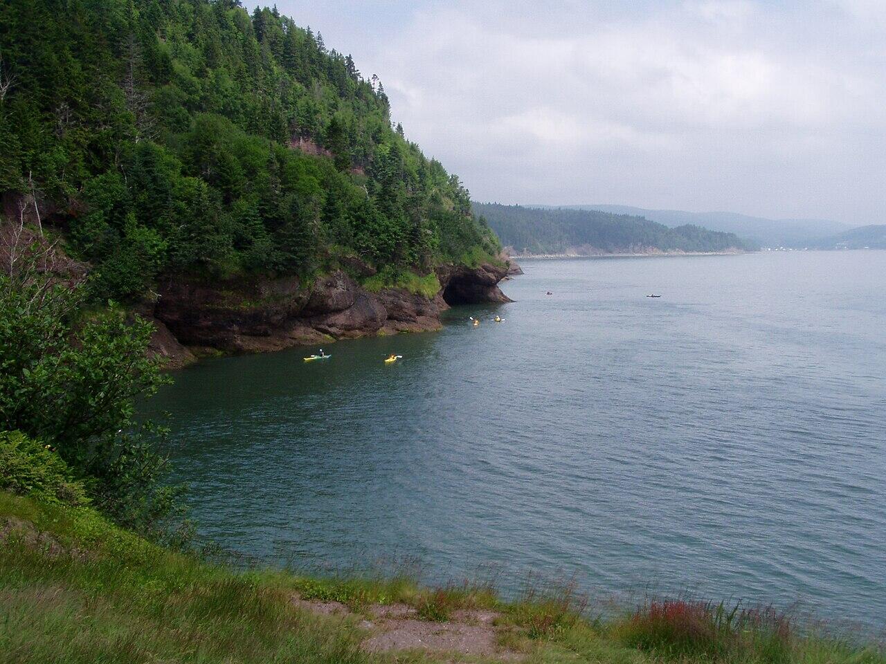 Kayakers paddling near a forested rocky coastline under a cloudy sky with distant hills across calm water.