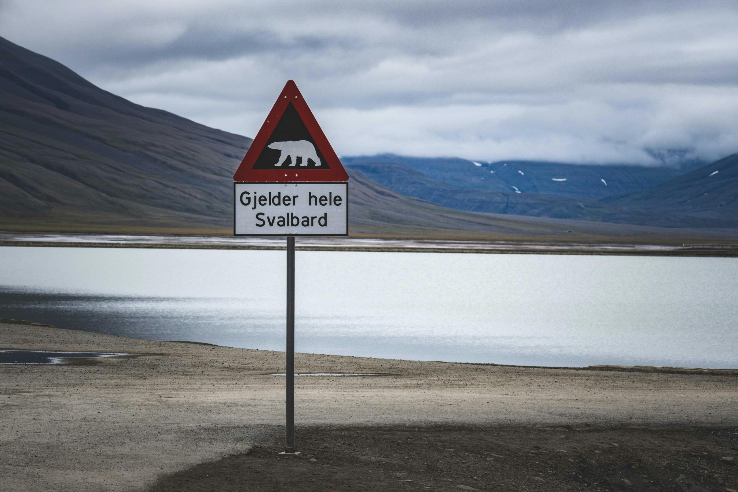 Polar bear warning sign in Svalbard, Norway, by a large body of water.