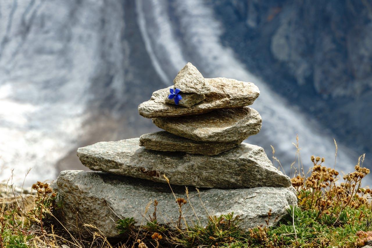 4 stacked rocks with a small blue flower on top. 