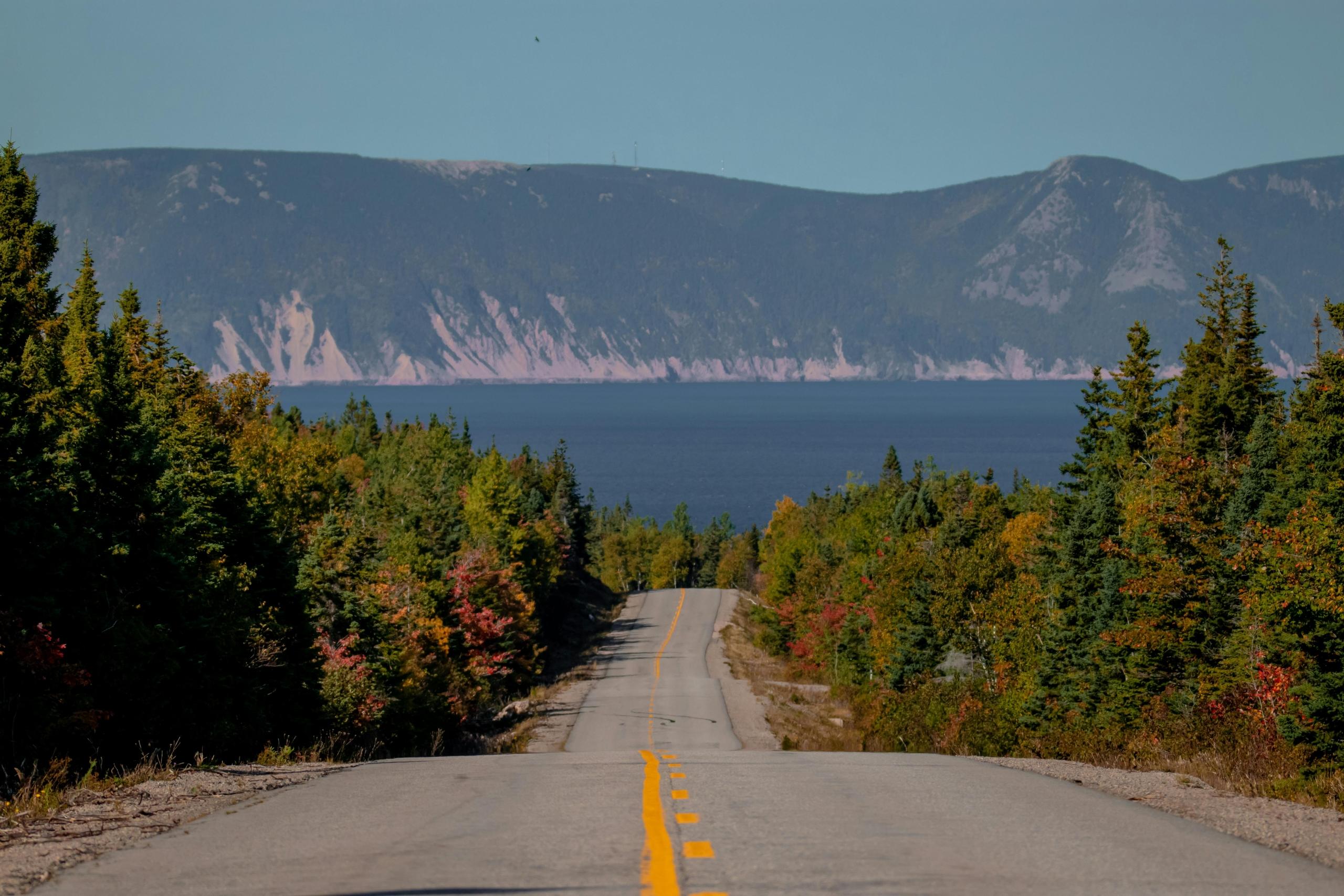 an empty road is surrounded by forest and heads toward water and highlands.