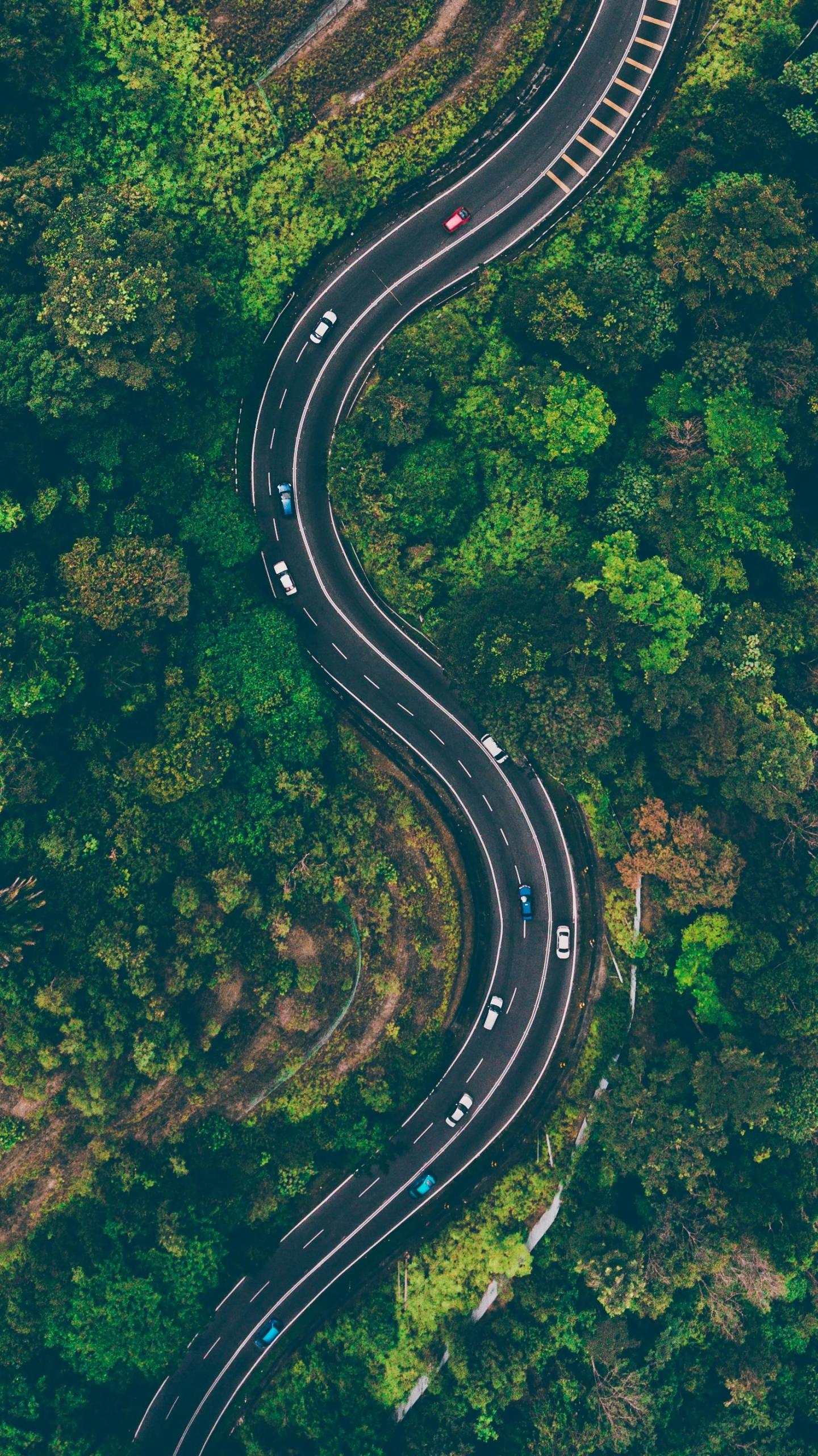 a view of cars on a winding road through a forest.