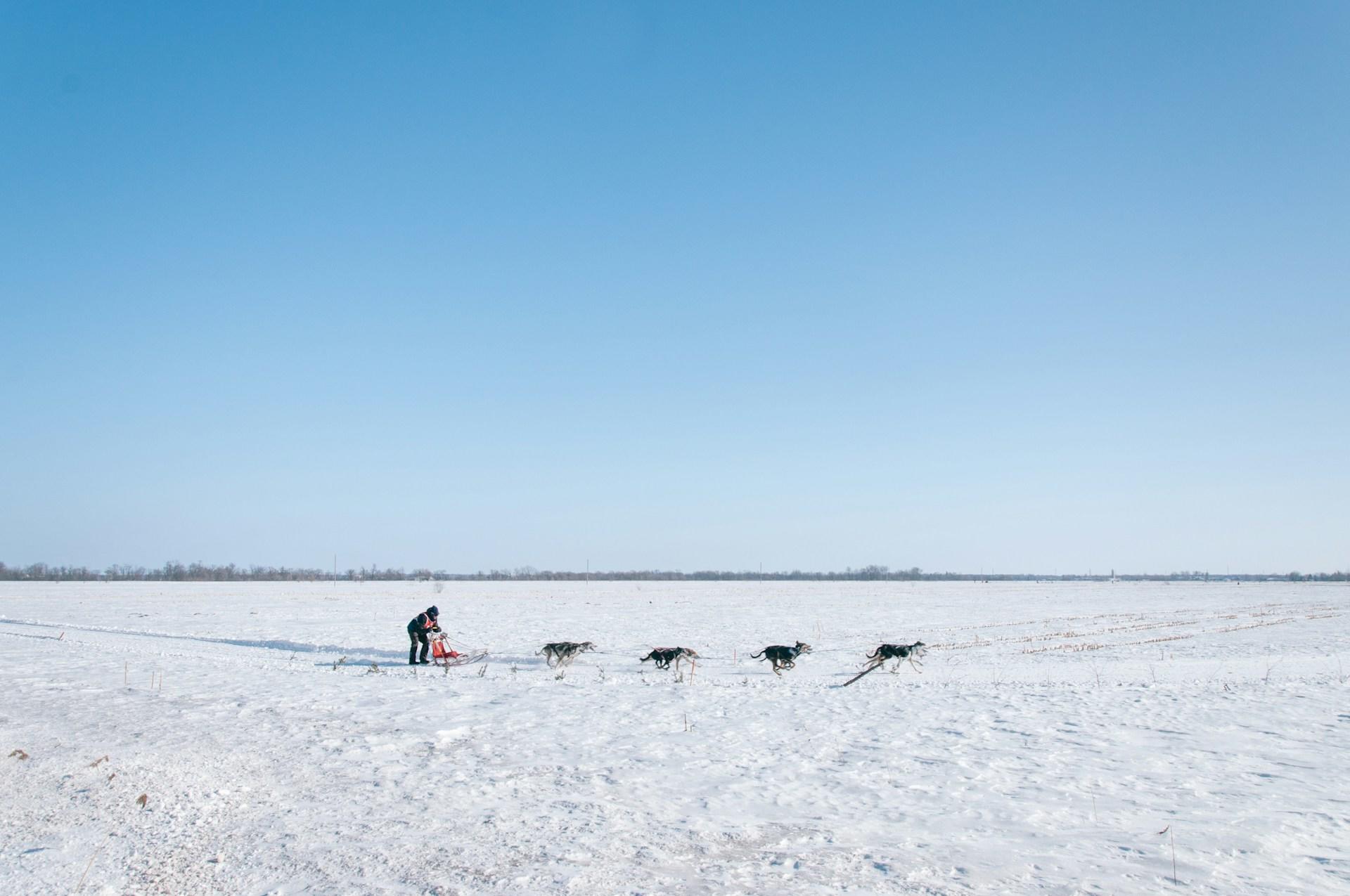 a person controlling a dog sled by himself, with four huskies pulling him along.