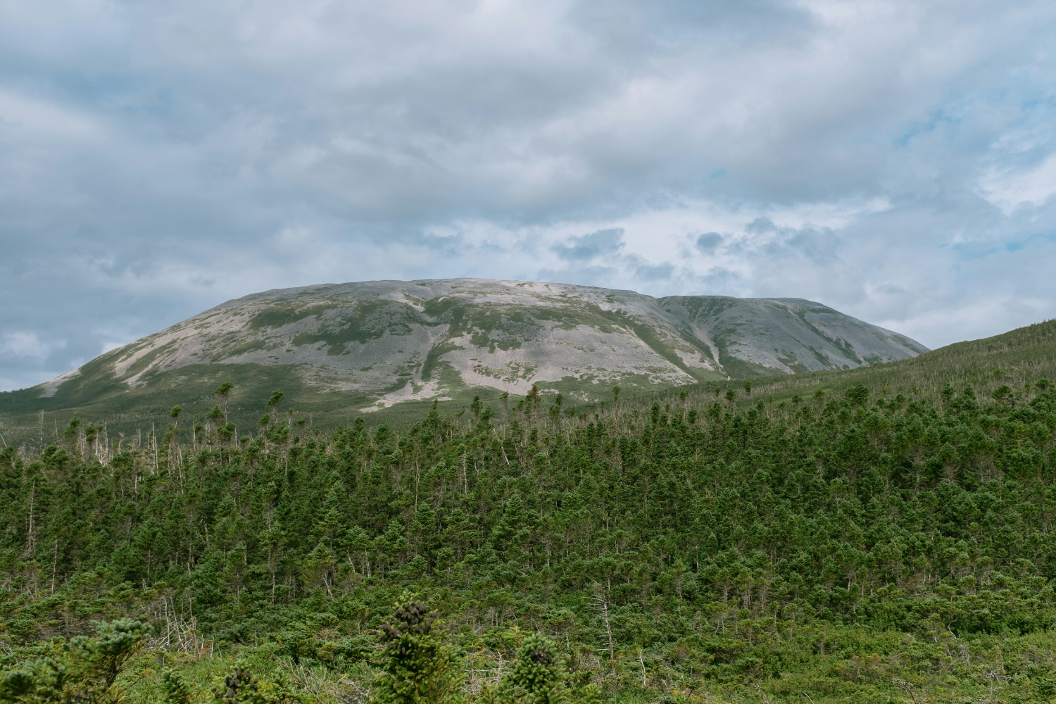 Panoramic view of the rocky, green landscape of Gros Morne with mountains and forests under a cloudy sky.