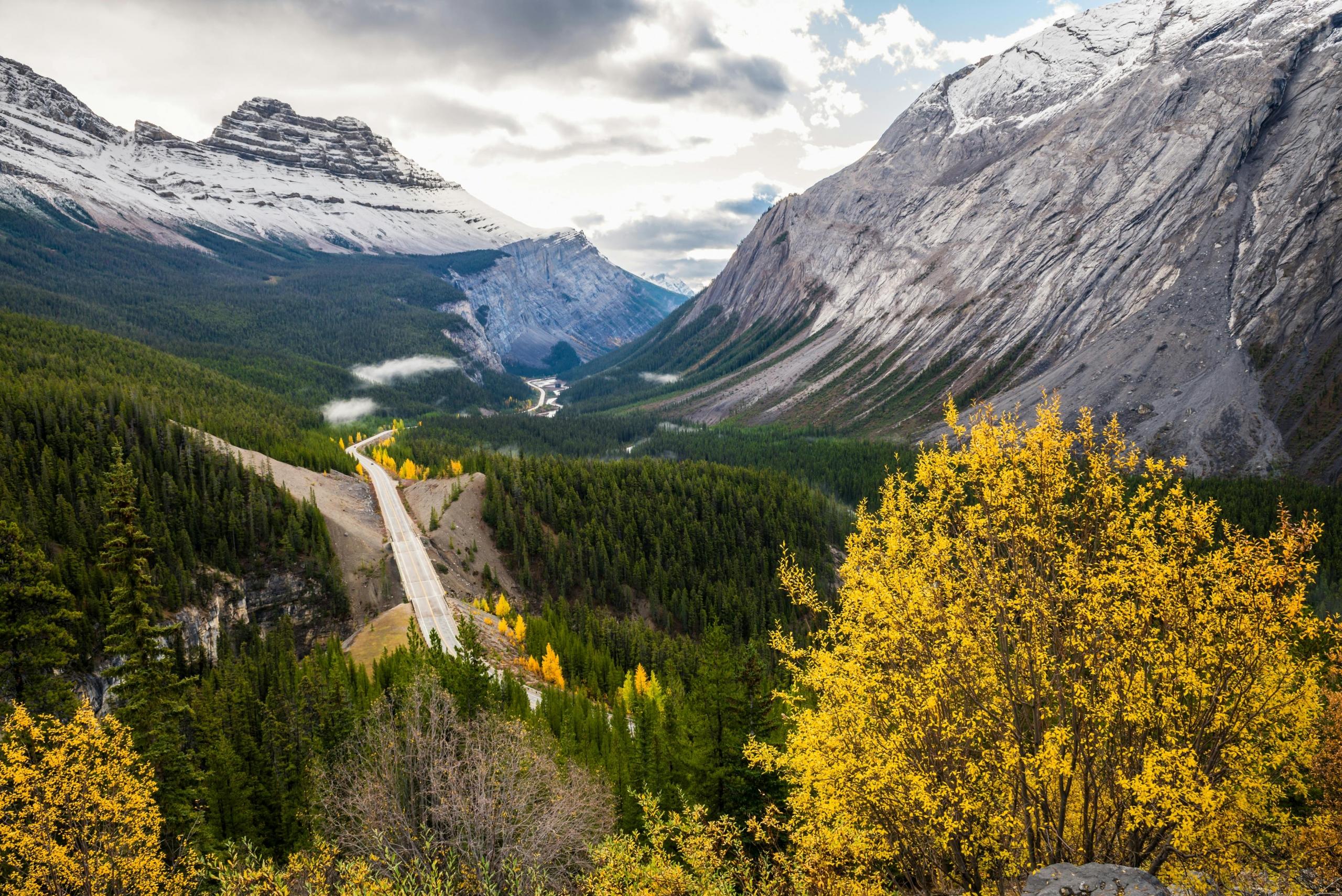 Dark mountain cliffs rise from a valley of green grass and trees.