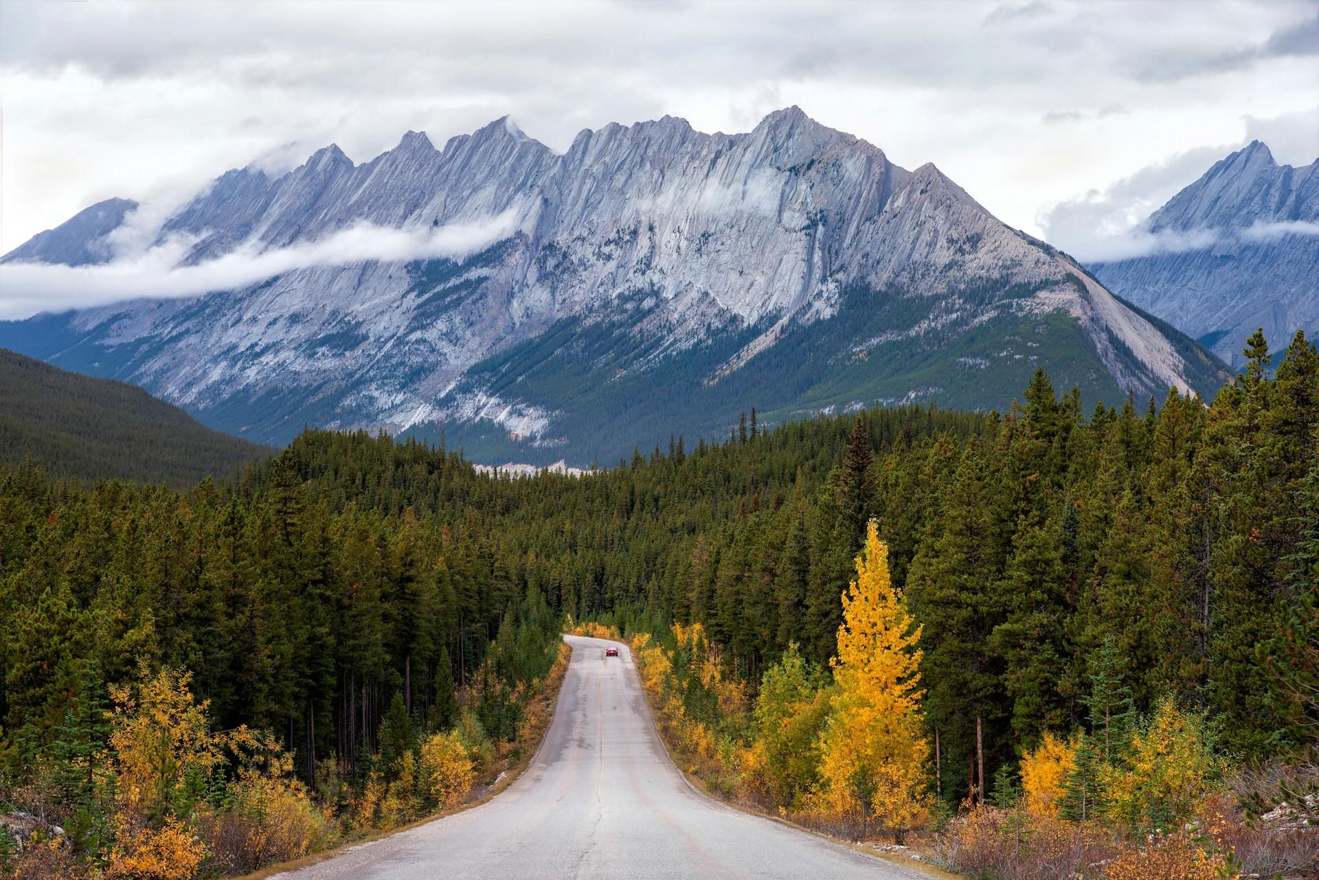 Snowcapped mountains of Jasper National Park with a road splitting the forrest.