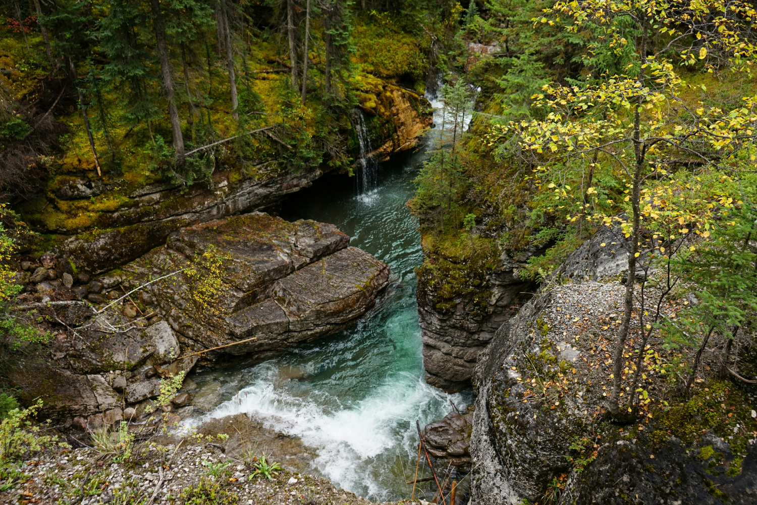 A breathtaking view of Maligne Canyon with turquoise waters flowing through mossy, rocky walls, surrounded by lush greenery.