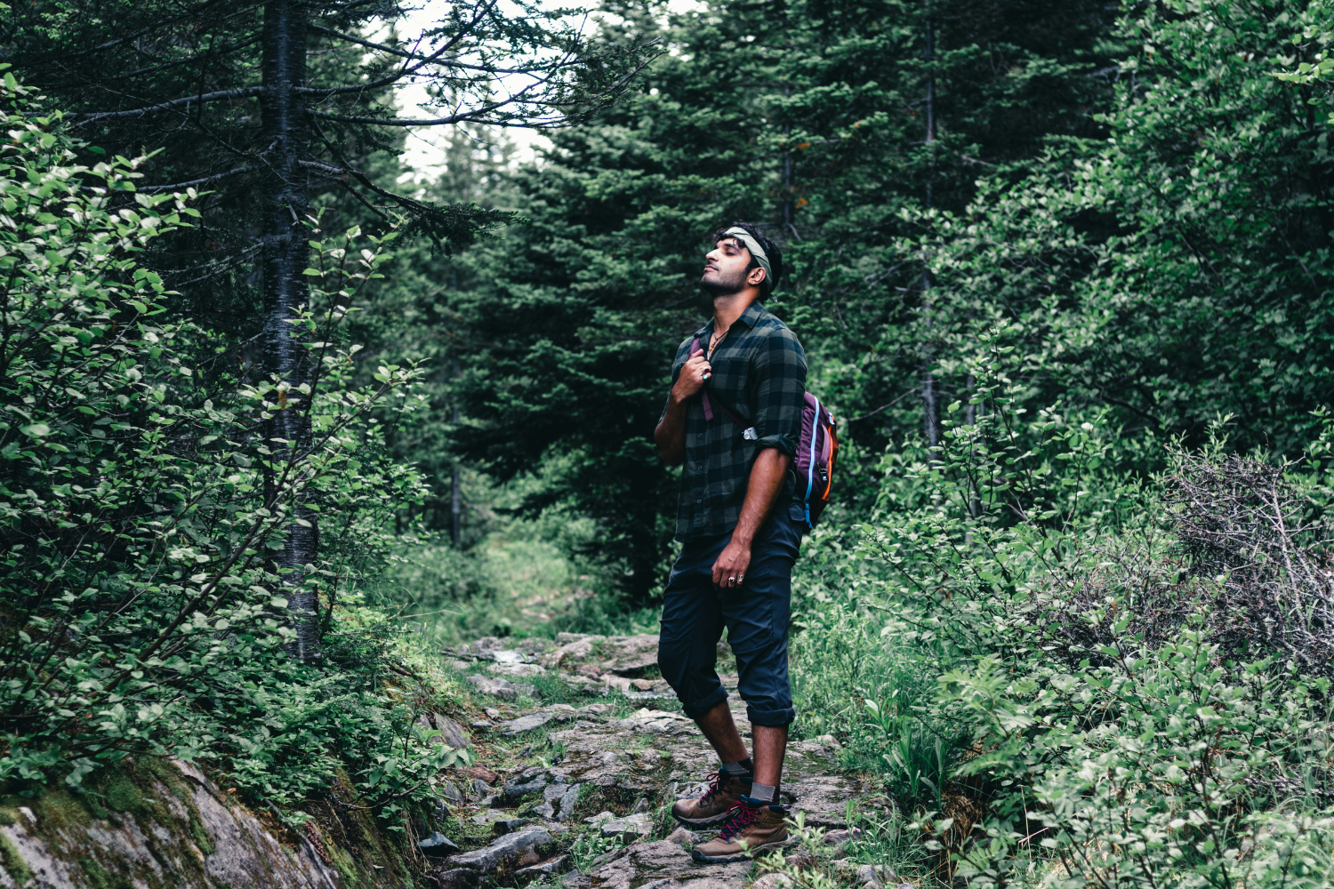 A hiker pauses on the Mont Albert Loop Trail, surrounded by dense forest in Gaspésie National Park.