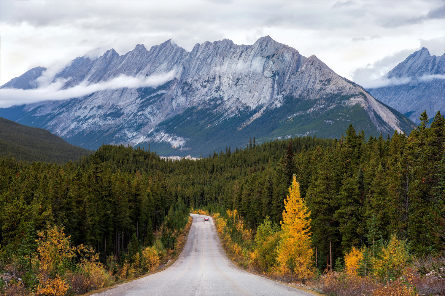 A winding road cutting through dense forest, leading toward jagged, mist-covered Rocky Mountain peaks.