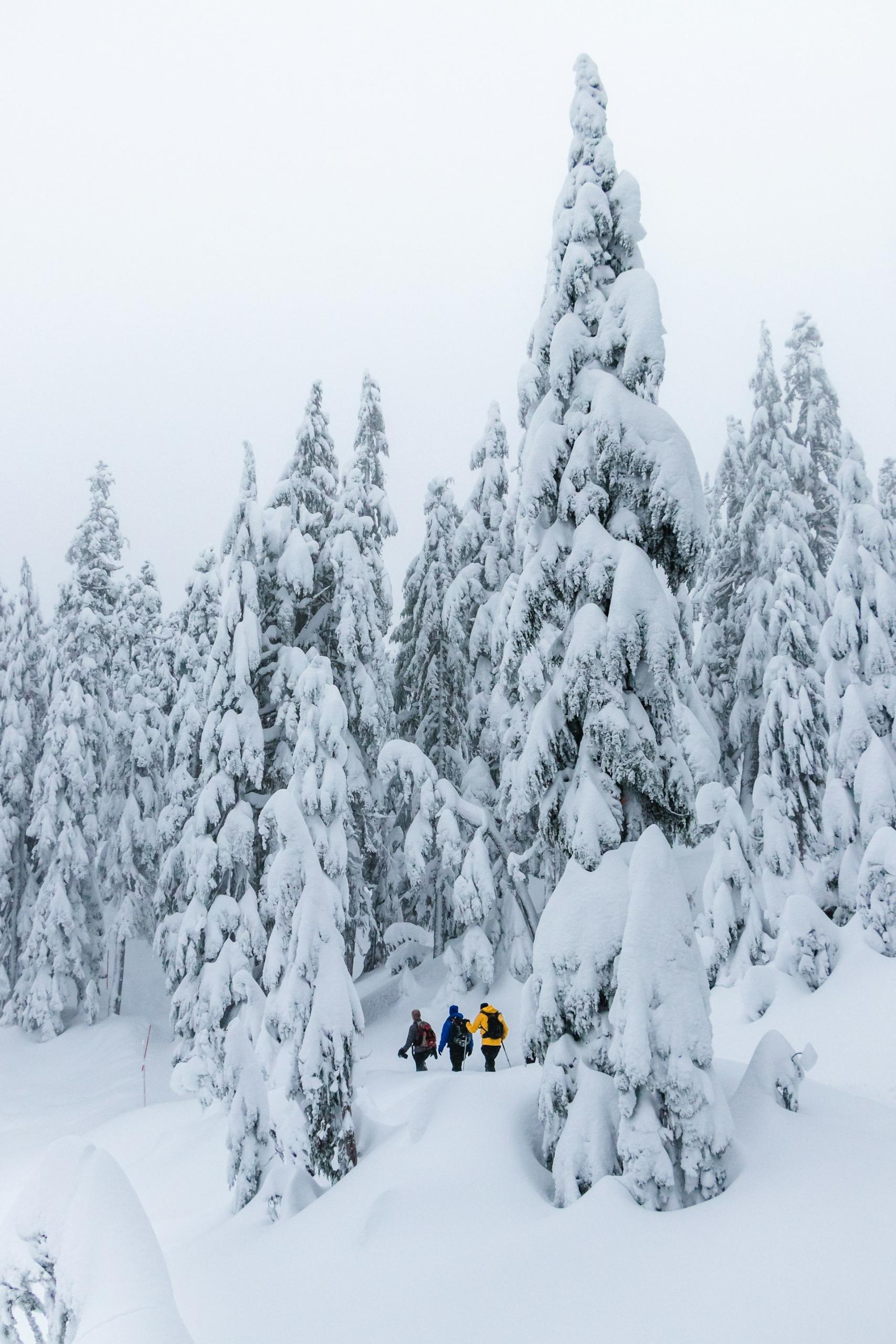 Three person snowshoeing in the snow. 