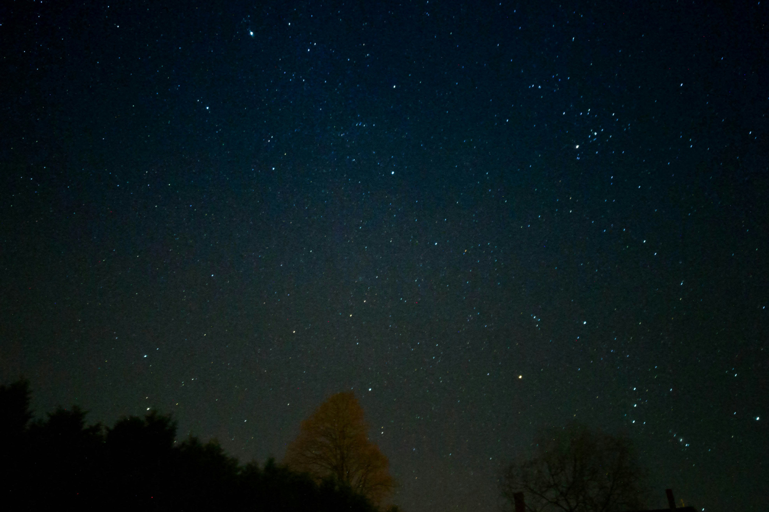 Night sky filled with stars above a silhouetted treeline in Gaspésie National Park.