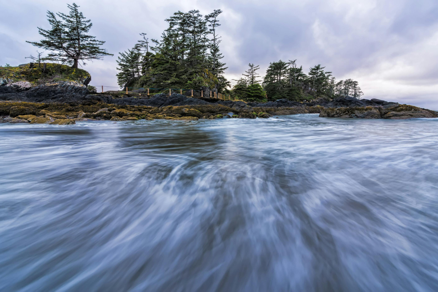 A dynamic view of waves rushing towards a rocky shoreline lined with tall evergreen trees in Pacific Rim National Park Reserve, Tofino, British Columbia.