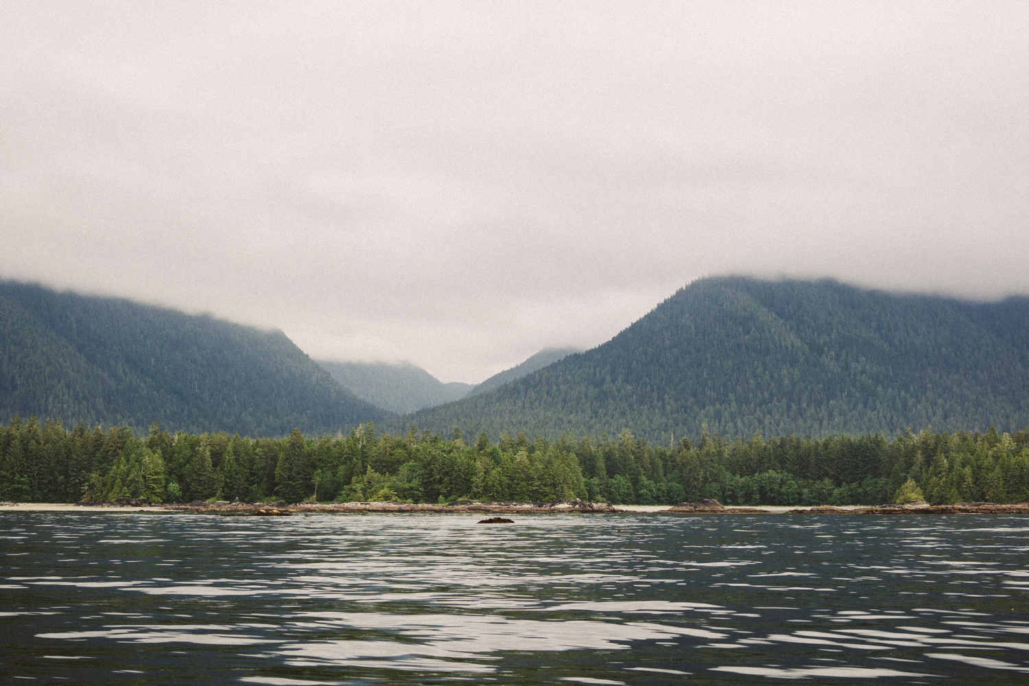 A serene scene of misty mountains covered in dense forests, with calm water in the foreground near Tofino, British Columbia.