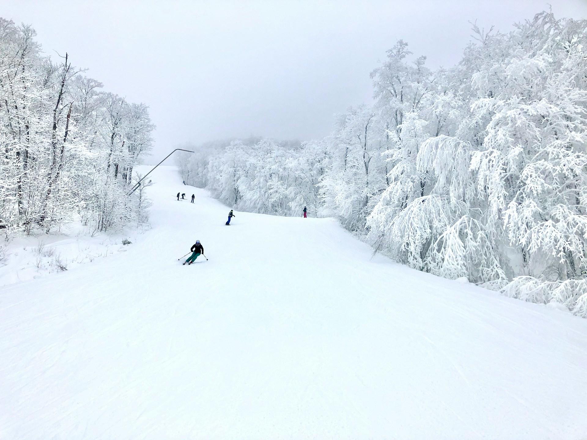 people skiing in a ski resort.