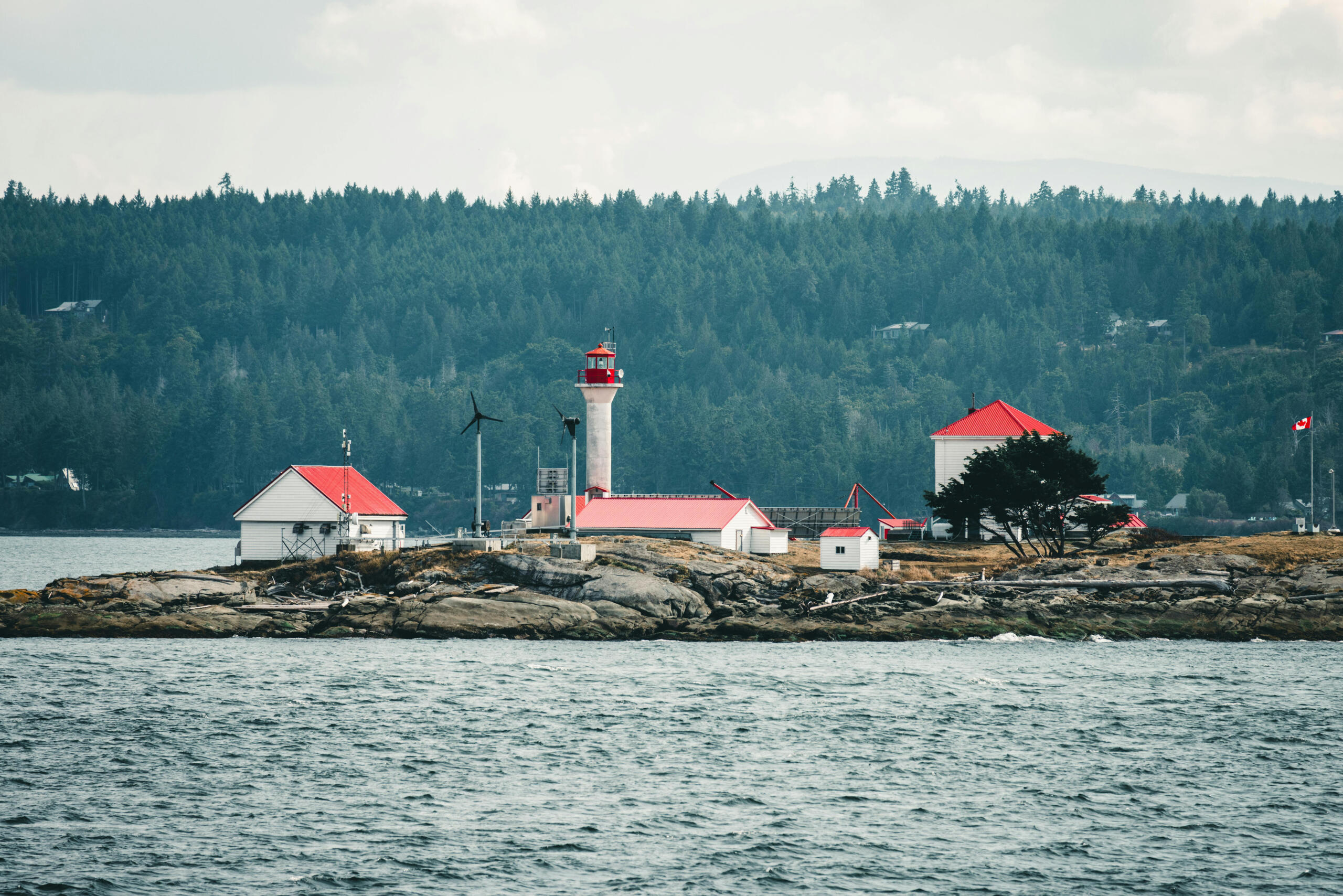 a view of a light houuse an red-roofed homes on the coast. Forests can be seen in the background.