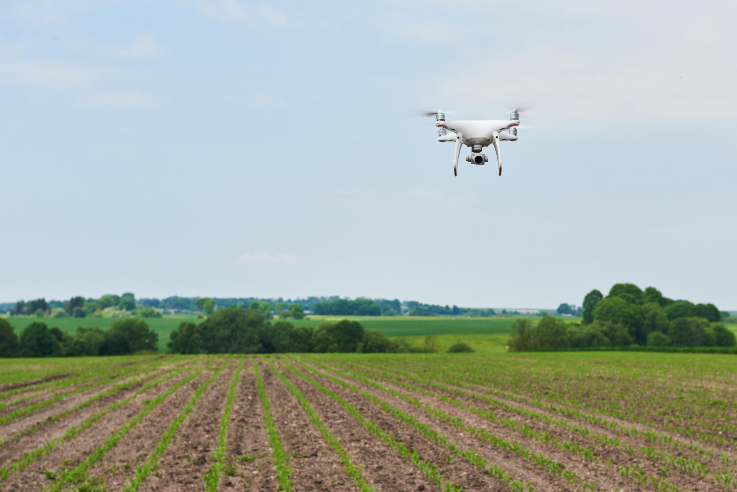 Drone with high resolution digital camera on green corn field