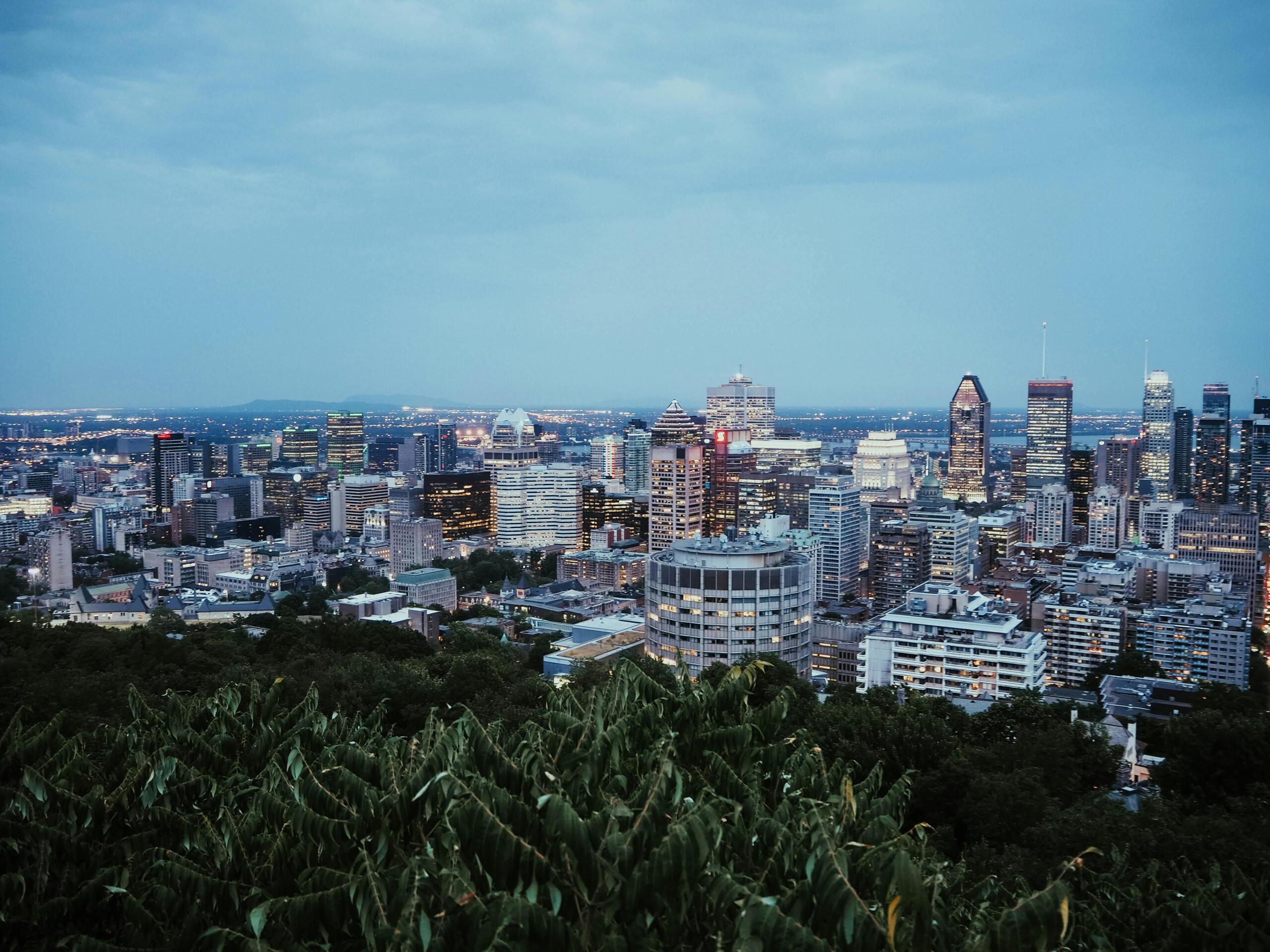 Twilight cityscape viewed from a hill with a forest foreground.