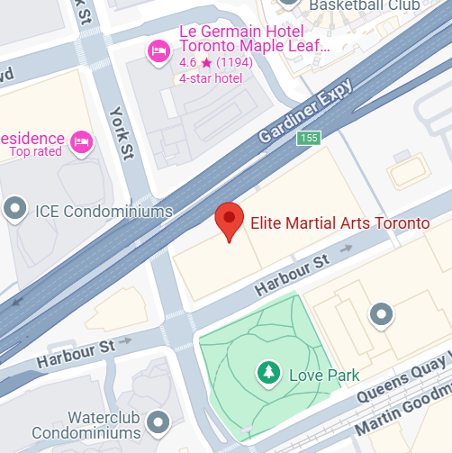 Elite Martial Arts Toronto location screenshot.