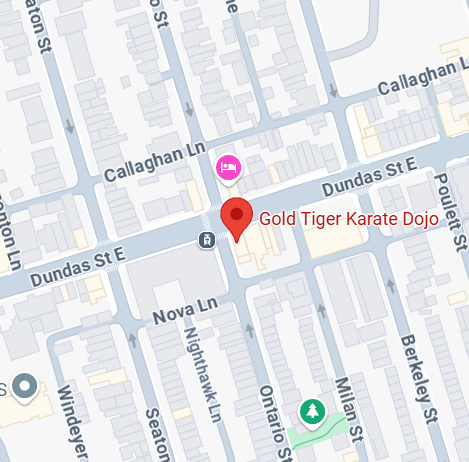 Gold Tiger Karate Dojo location