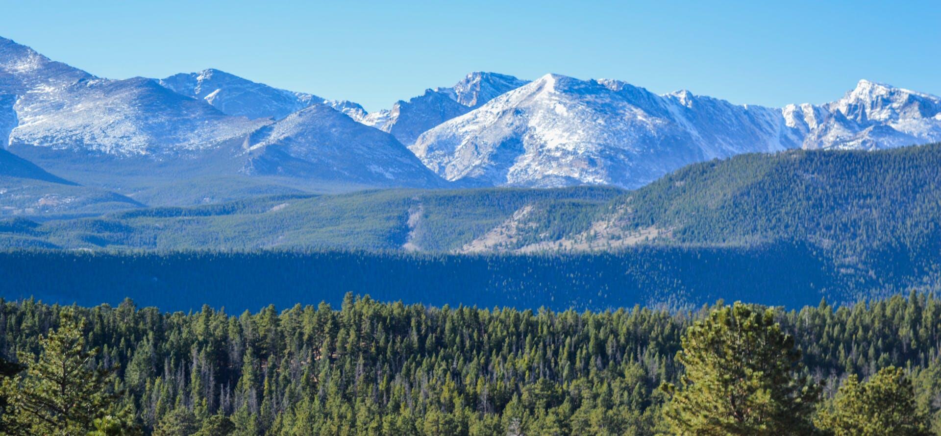 Snow-capped mountains tower above a dense forest of pine trees under a clear blue sky, showcasing a serene mountain landscape.