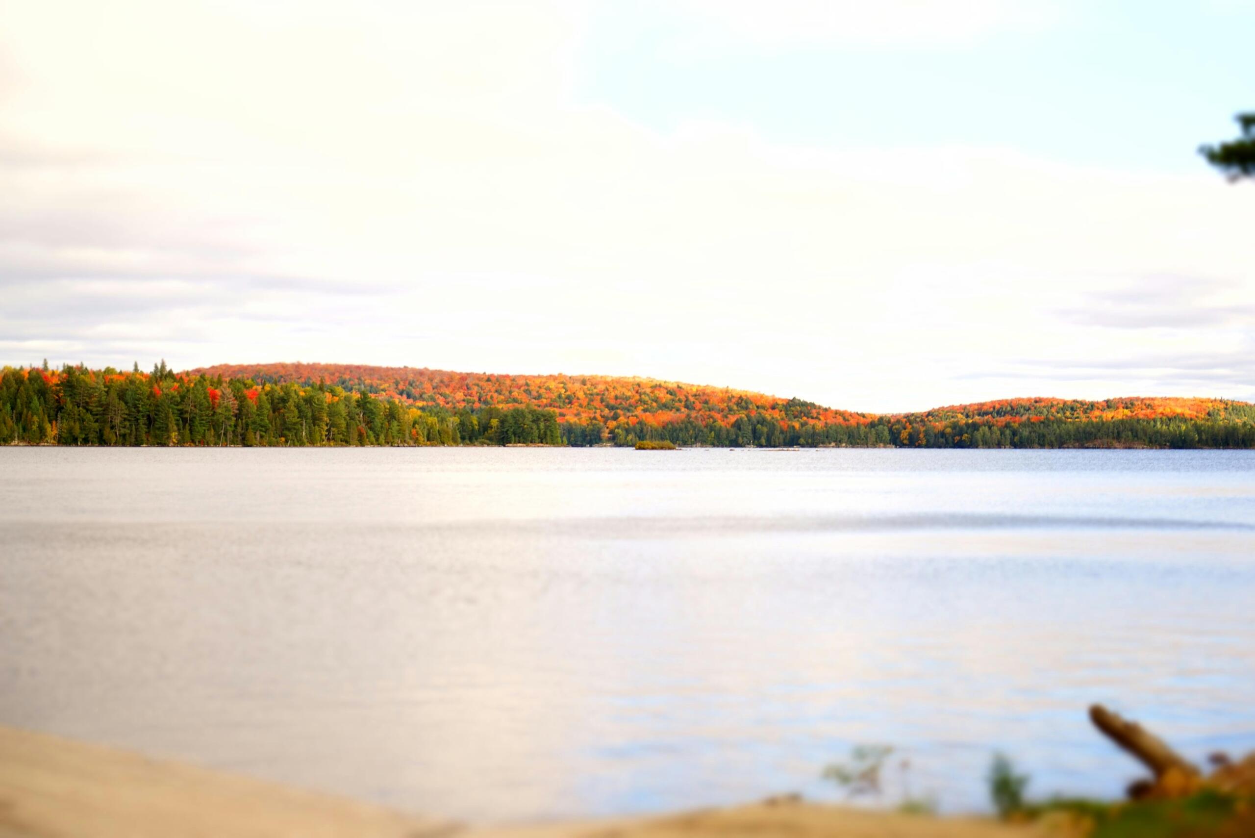 A lake surrounded by trees in fall.