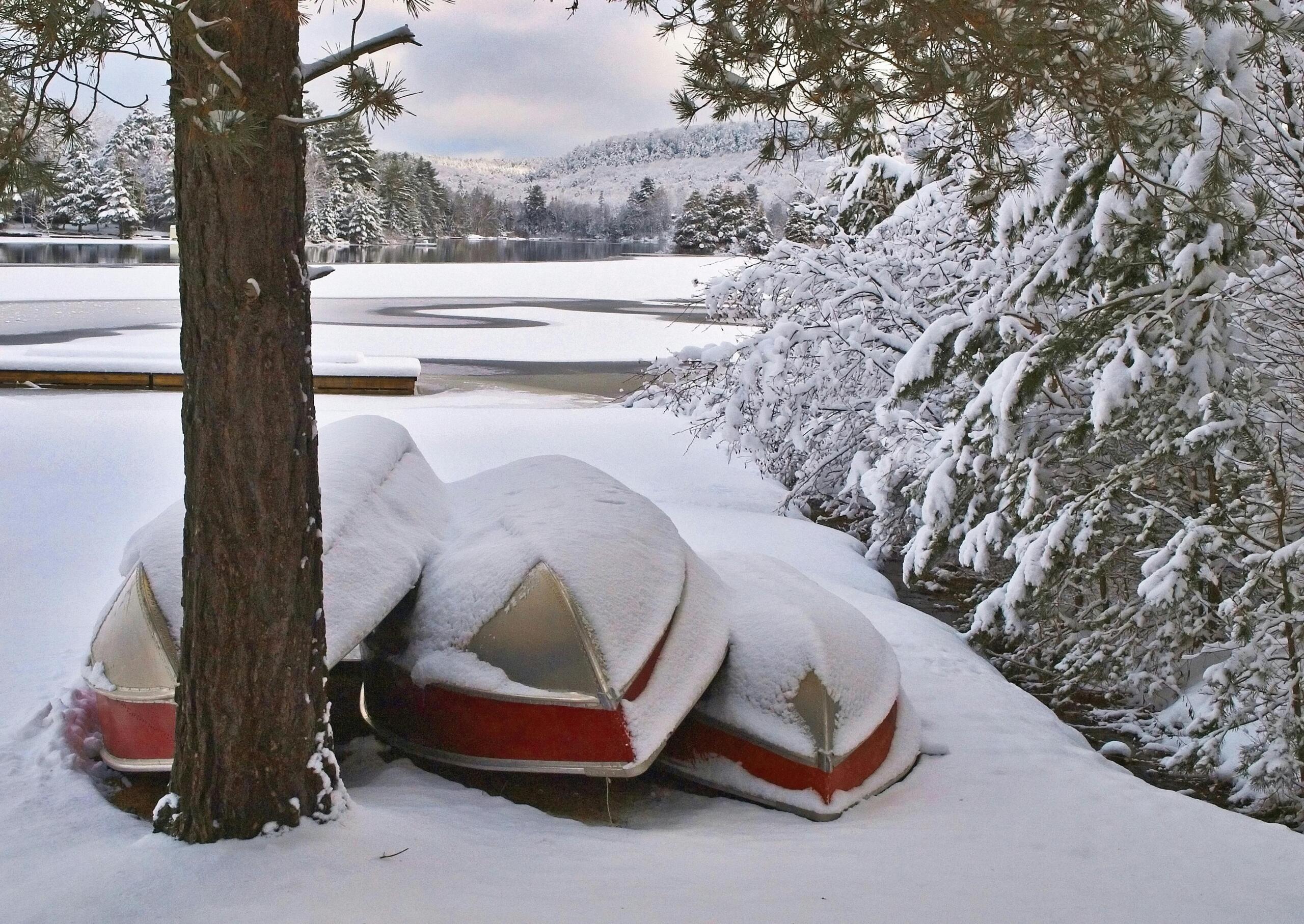 Canoes covered with snow beside a lake surrounded by trees.