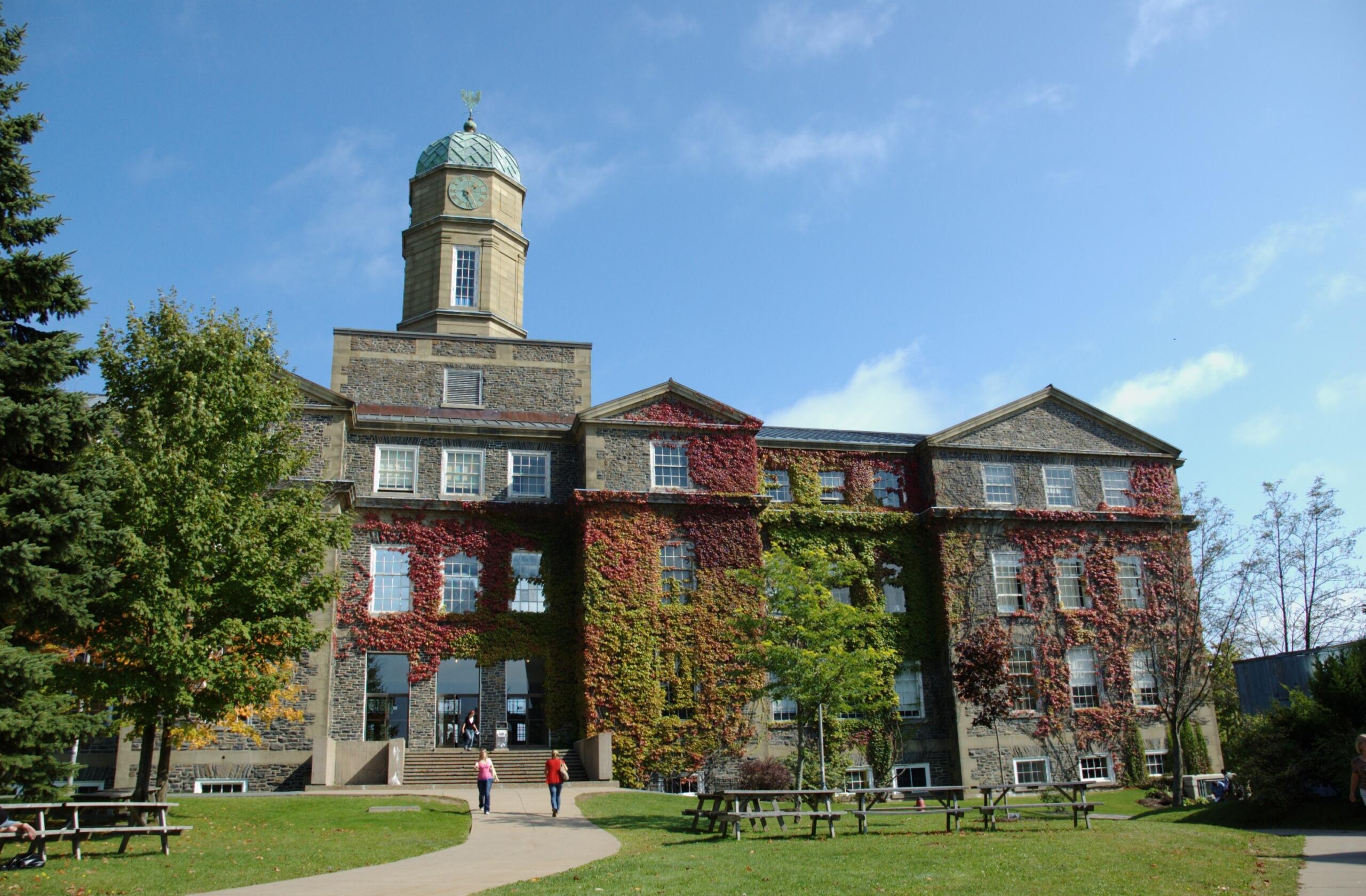 Exterior of Dalhousie University’s ivy-covered stone building with a clock tower, surrounded by greenery and a clear blue sky.