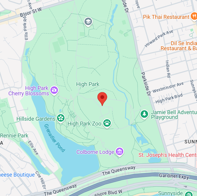 Sakura (Cherry Blossom) Festival location in Toronto screenshot.