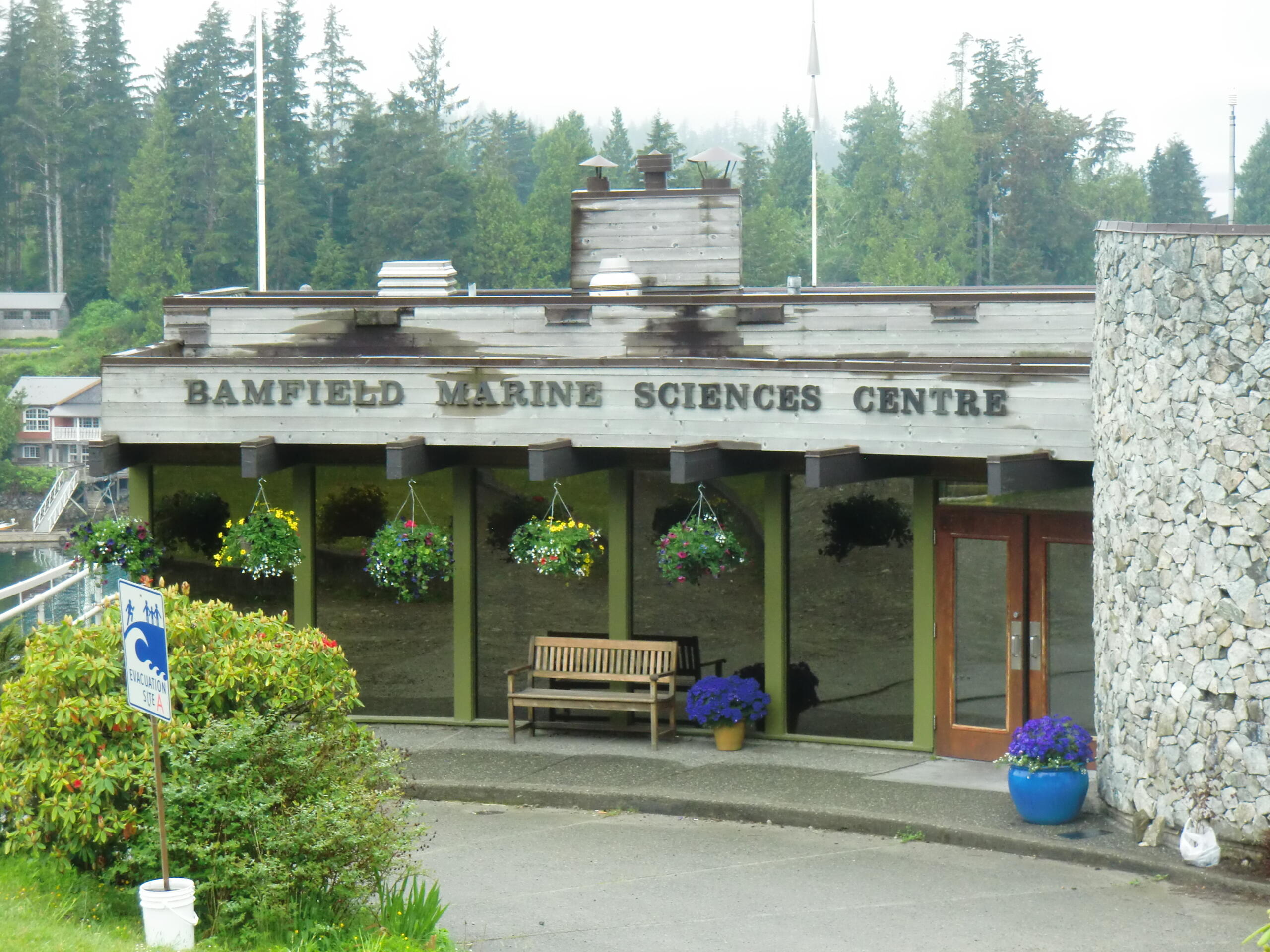 Front entrance of Bamfield Marine Sciences Centre surrounded by greenery and hanging flower baskets.