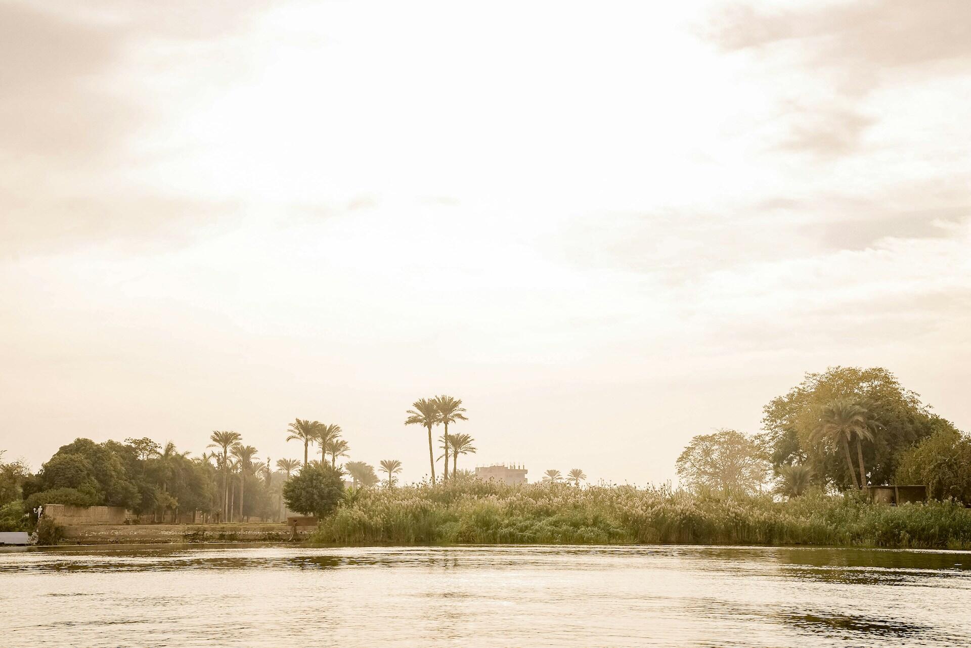 Serene riverside scene at dawn, with swaying palm trees and lush greenery under a soft, hazy sky.