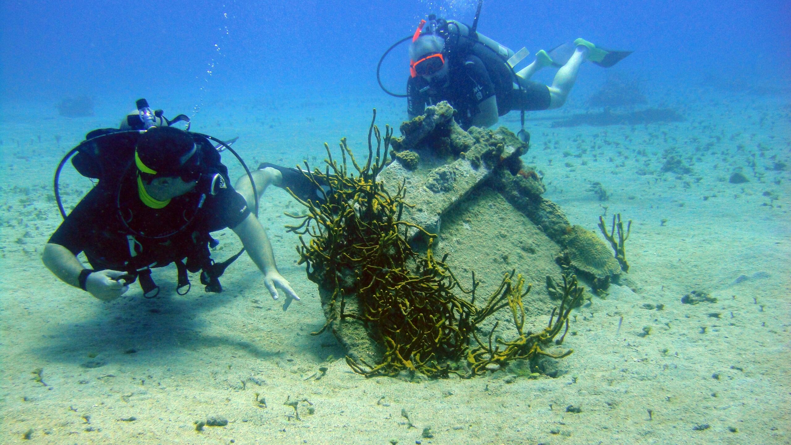 Two scuba divers studying marine life and coral formations during an underwater research expedition.