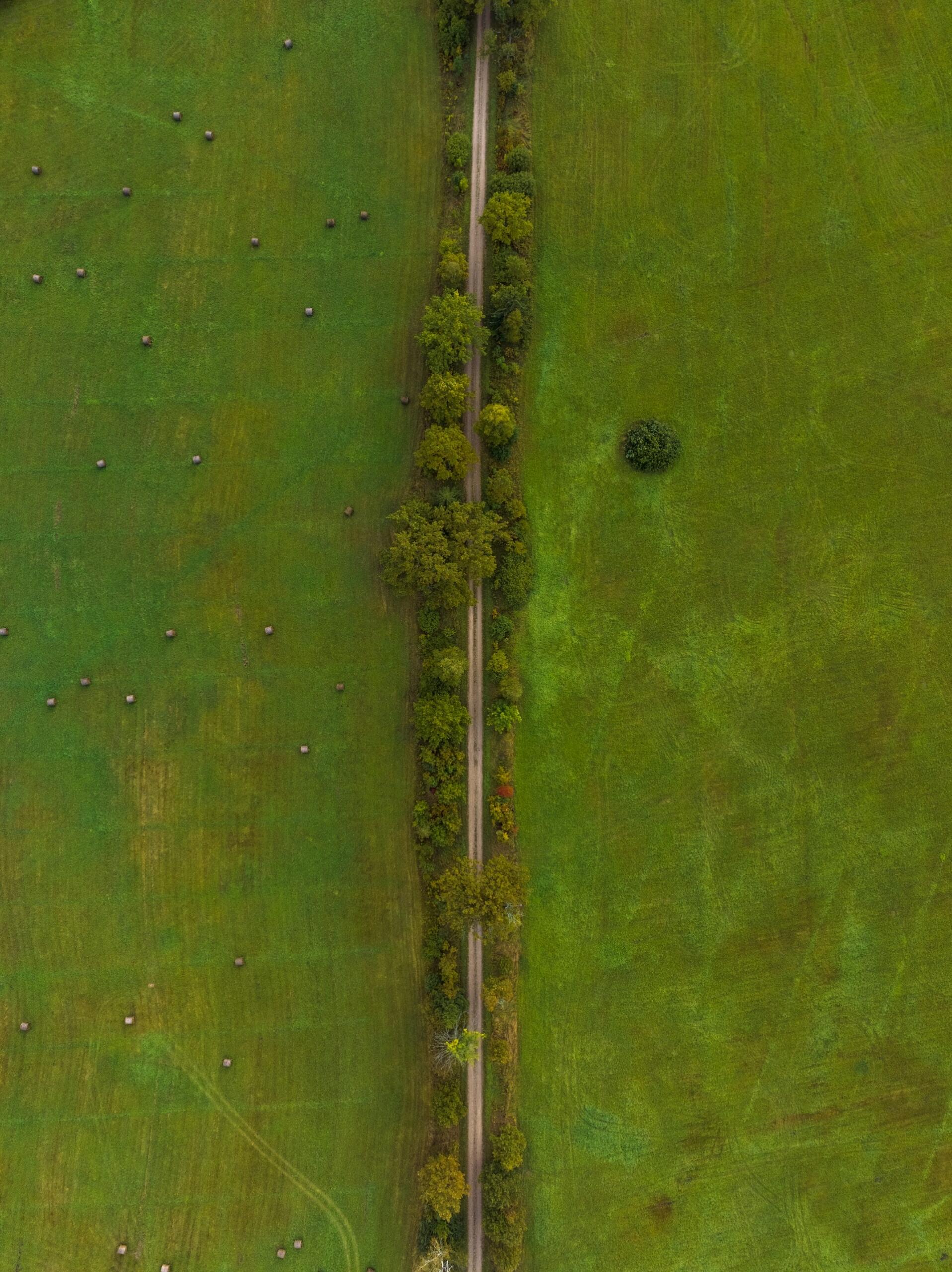 Aerial view of a narrow dirt road flanked by trees, separating two vibrant green fields with scattered hay bales.