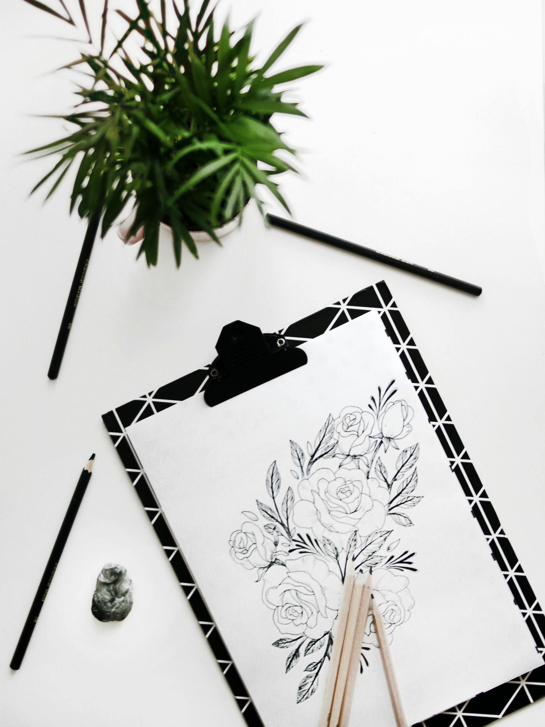 Exercise drawing