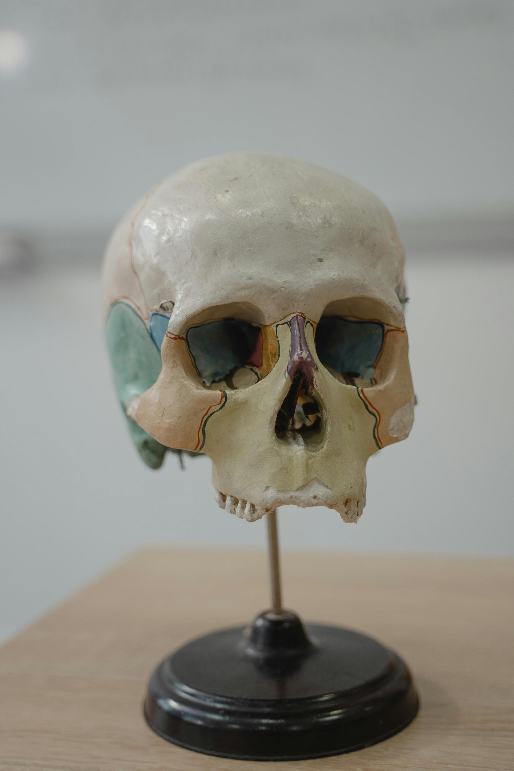Online biology course