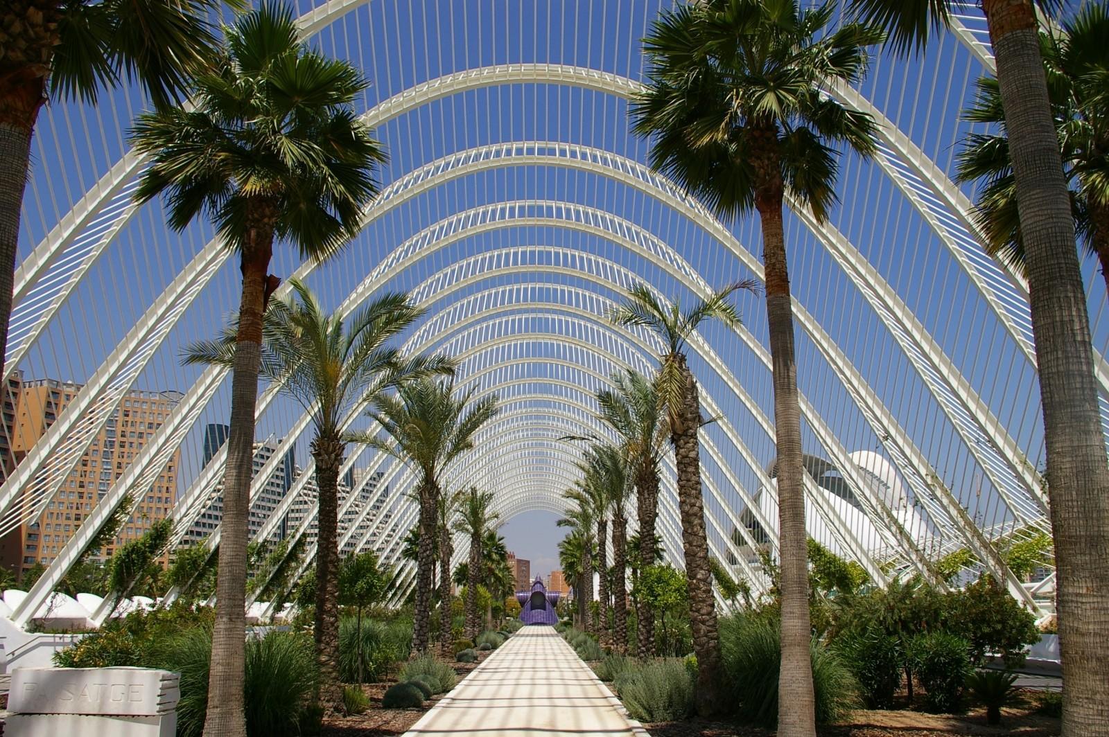 You can study a wide range of subjects in Valencia