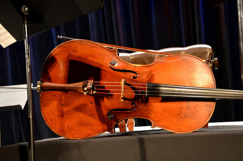 Violins look gracious because of how petite the instrument is. 