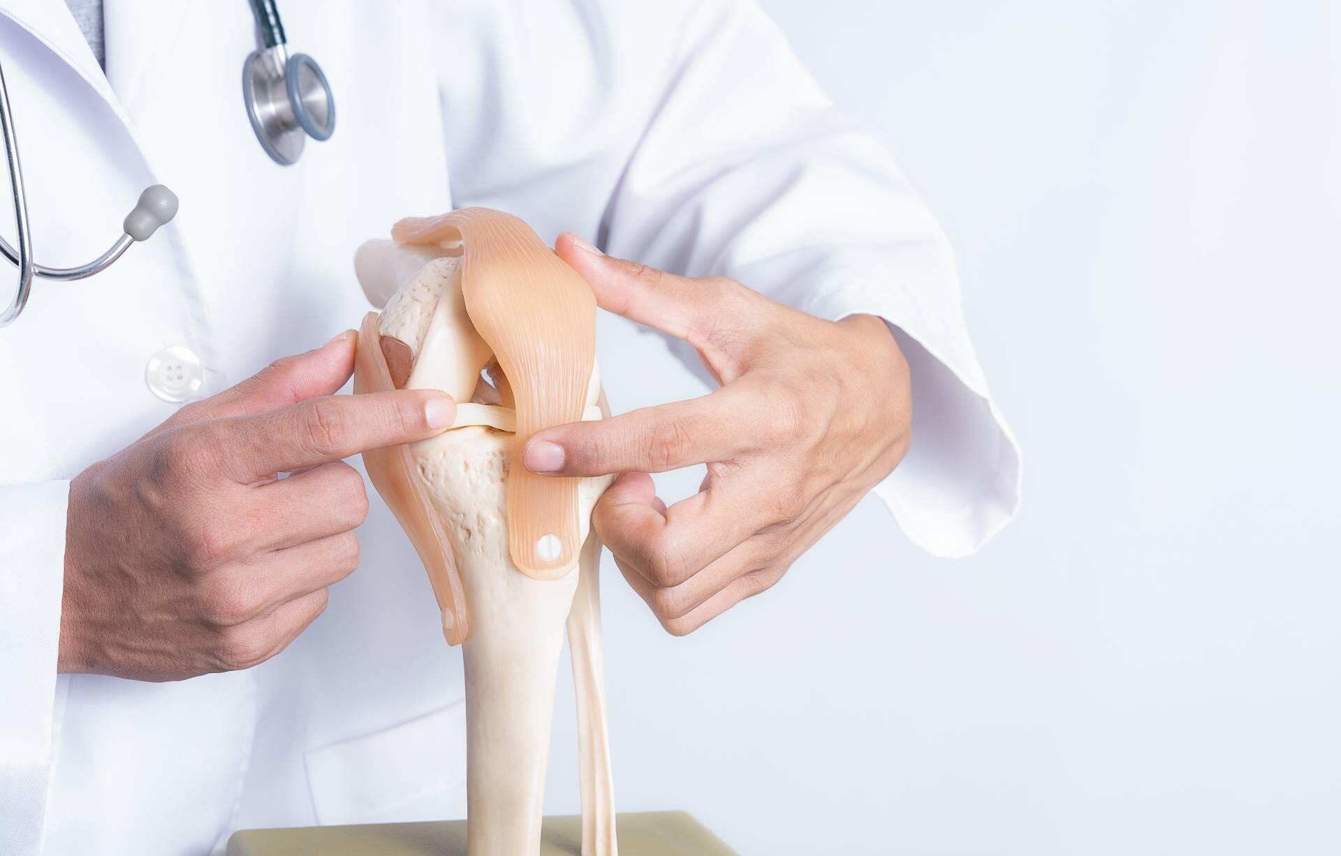 Doctor pointing to knee joint model.